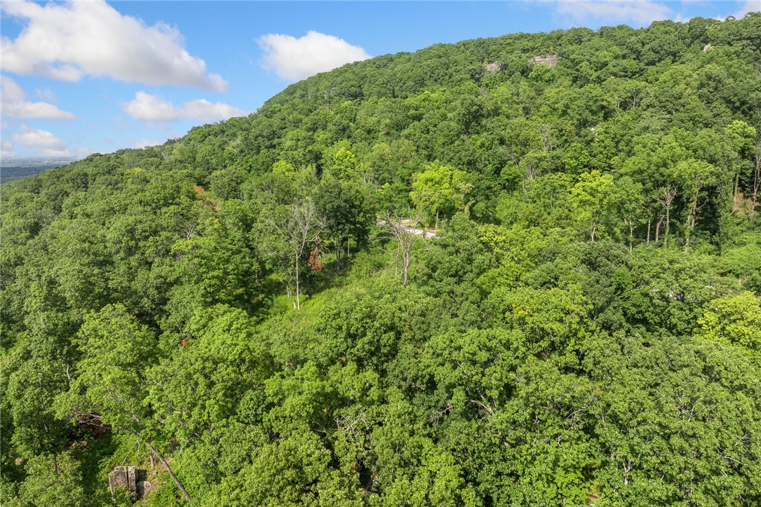 Harrison, Arkansas, 72601, United States, ,Land,For Sale,1903460