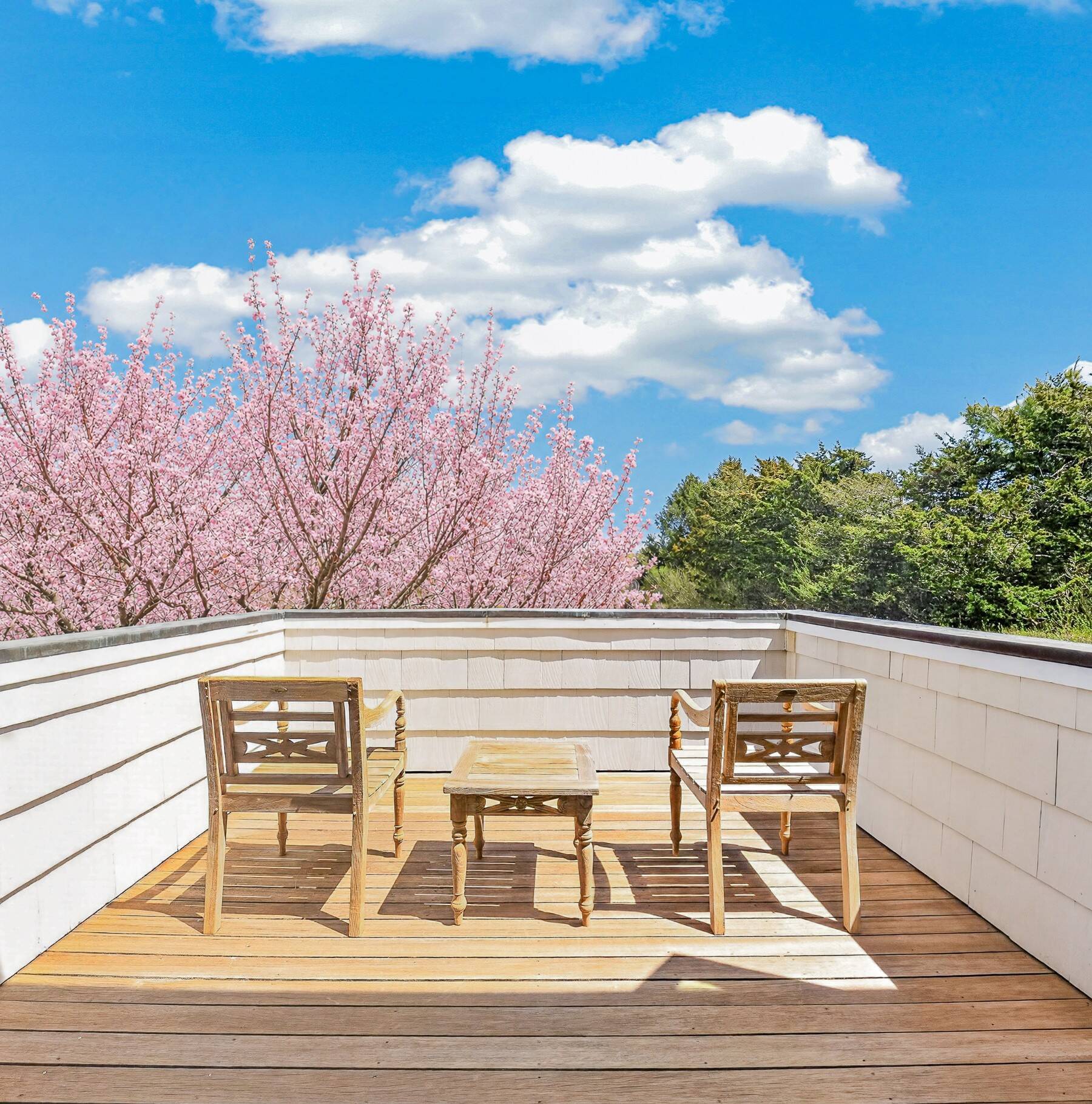  Private Gated Estate in Southampton Village with Pool, Spa, Pool - 物件實景
