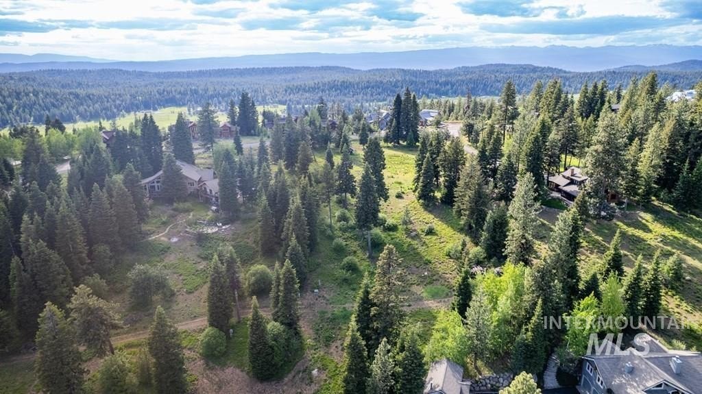 McCall, Idaho, 83638, United States, ,Land,For Sale,1983589