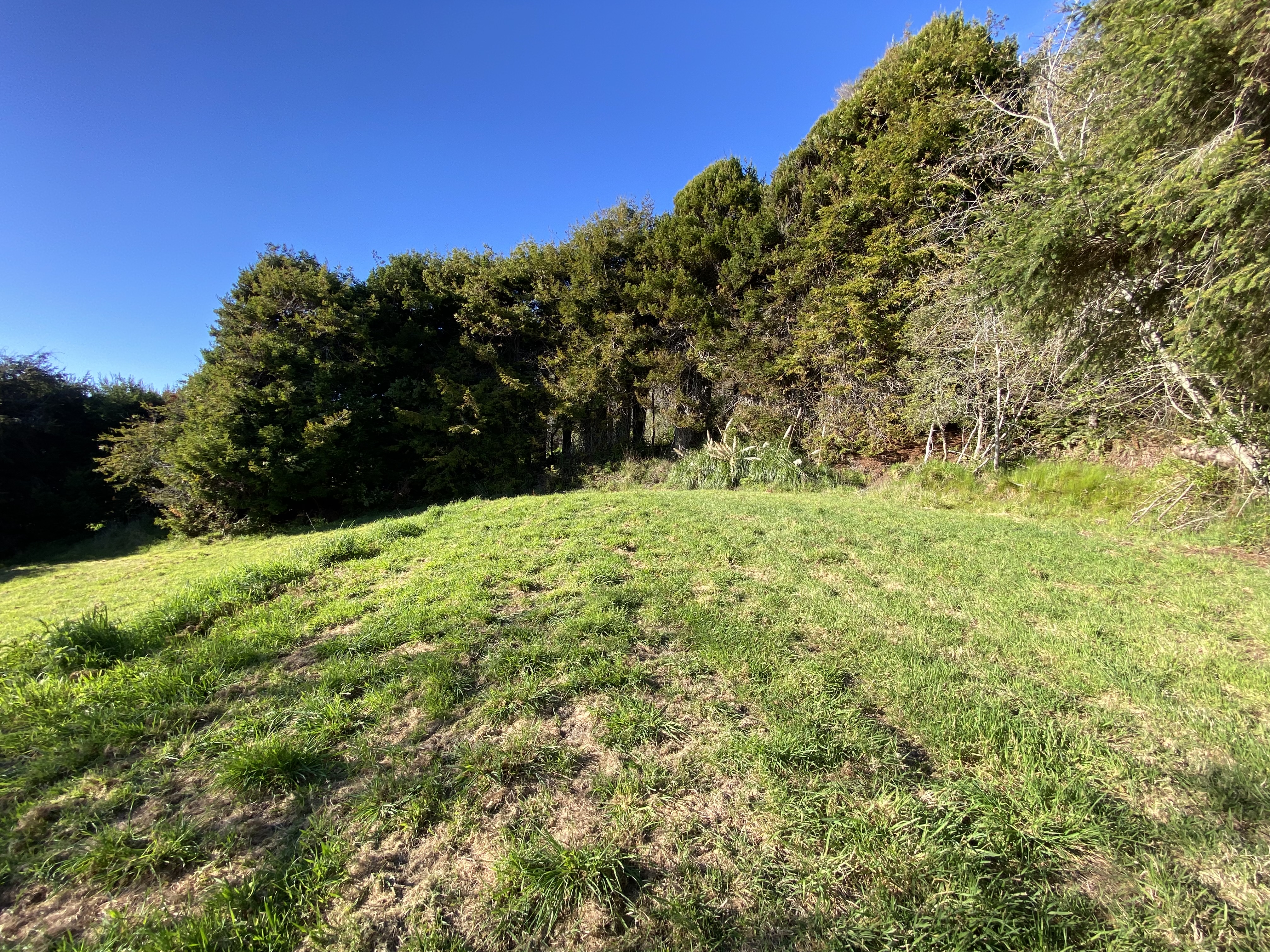  20-Acre Ocean View Parcel - 物件實景