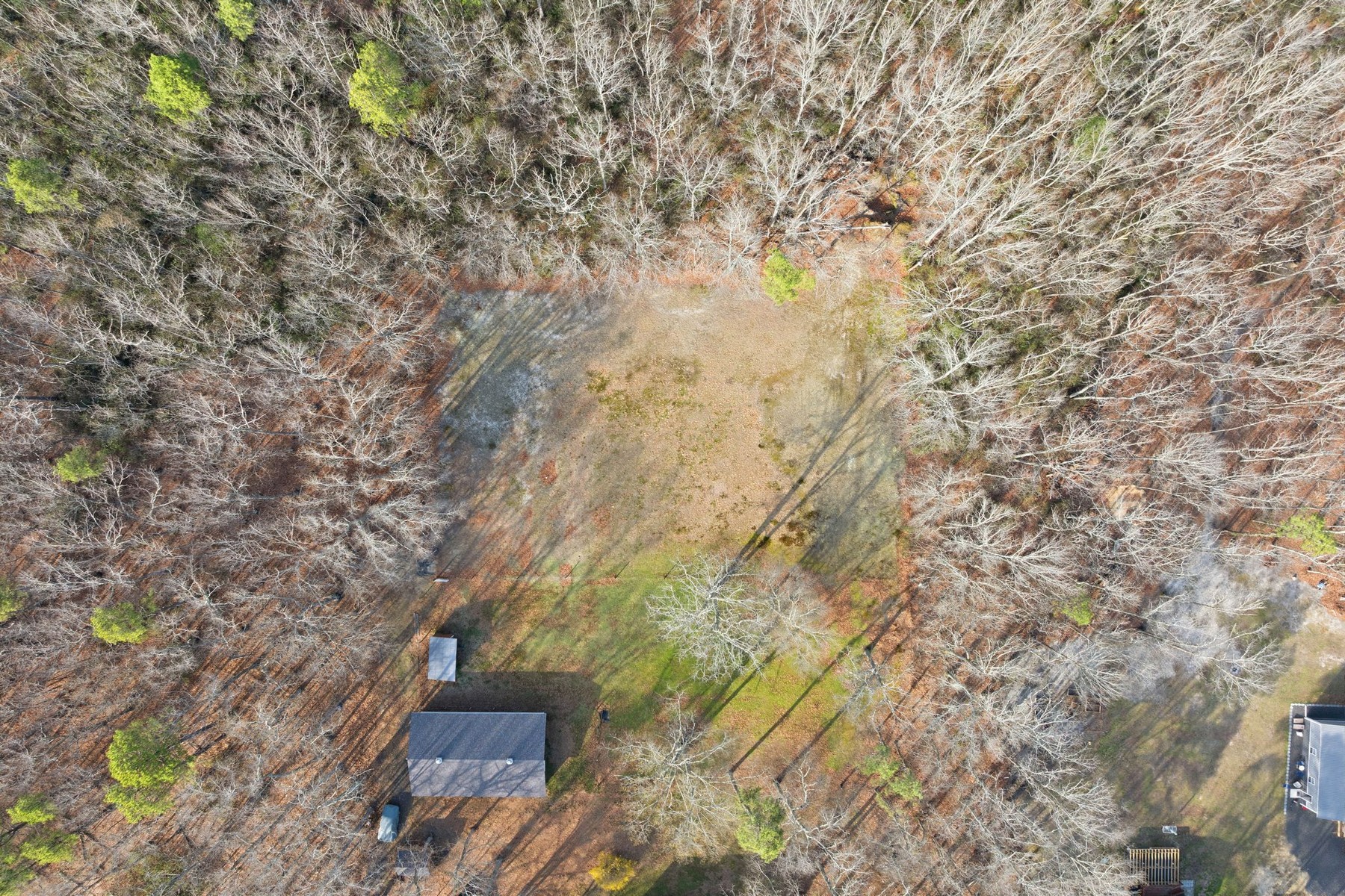  6311 Pine St - 物件實景