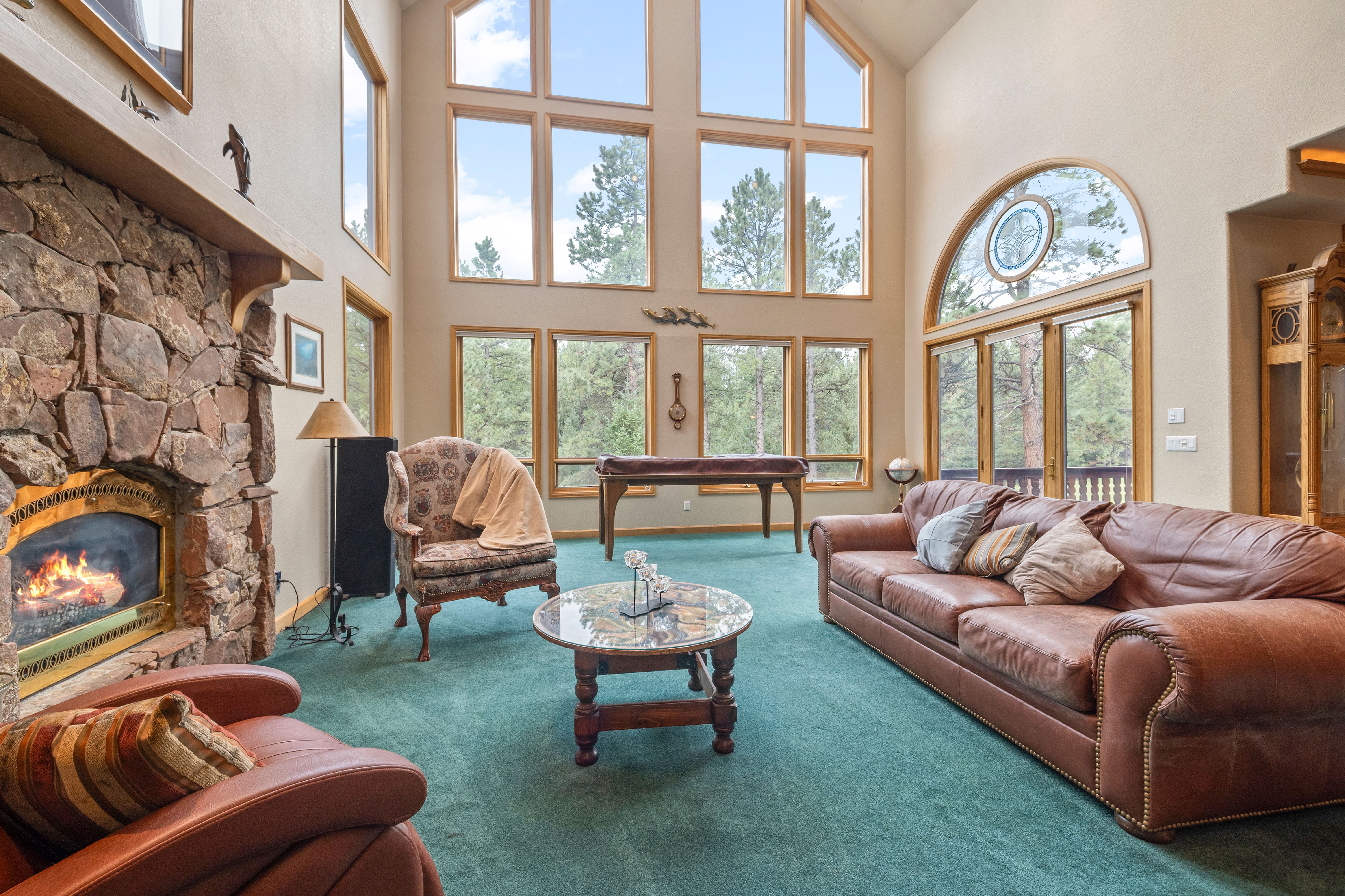  Perfect Blend of Space and Colorado Living That Backs to Pike National Forest - 物件實景