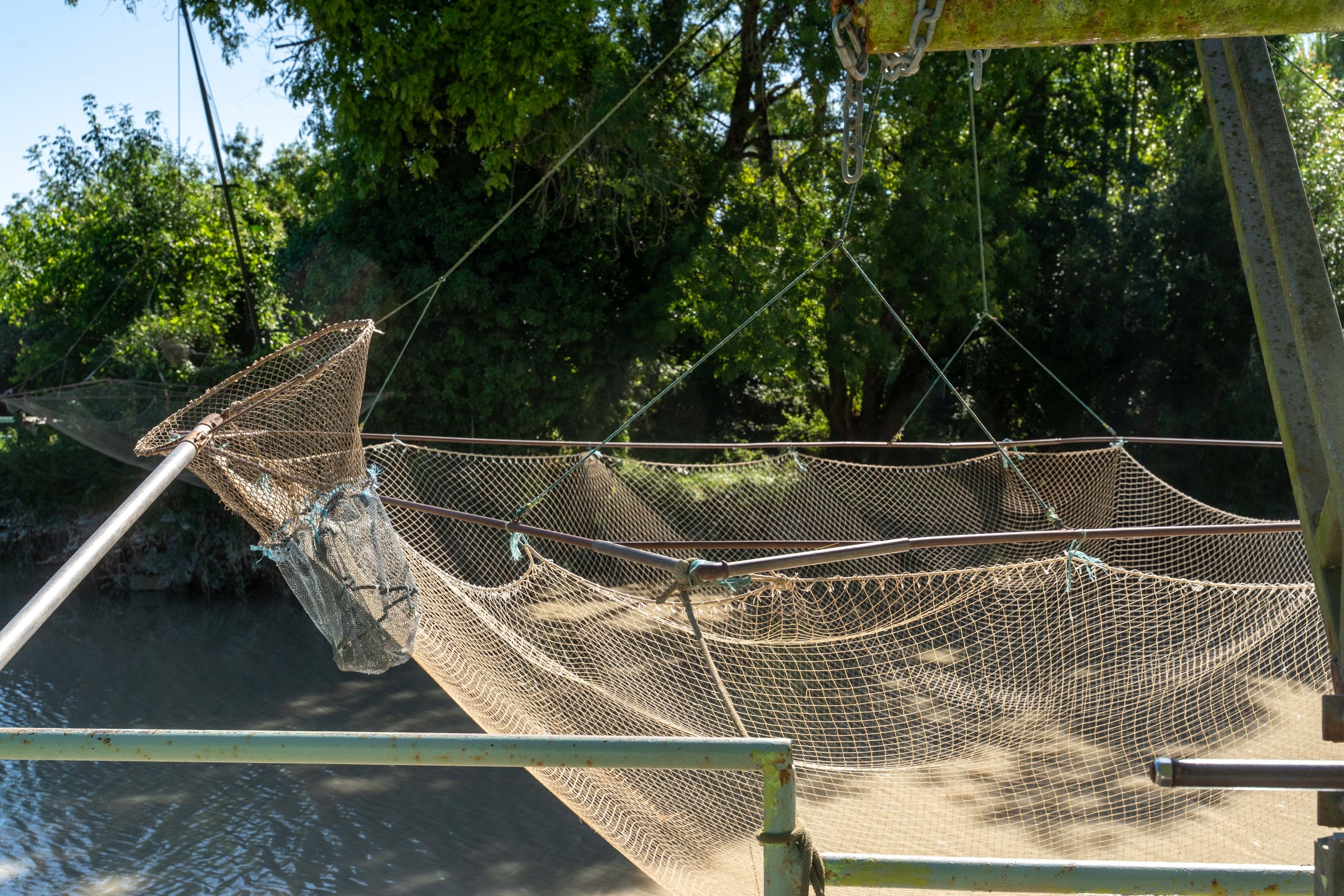  Character Property at the Confluence of the Charente and Boutonne Rivers - 物件實景