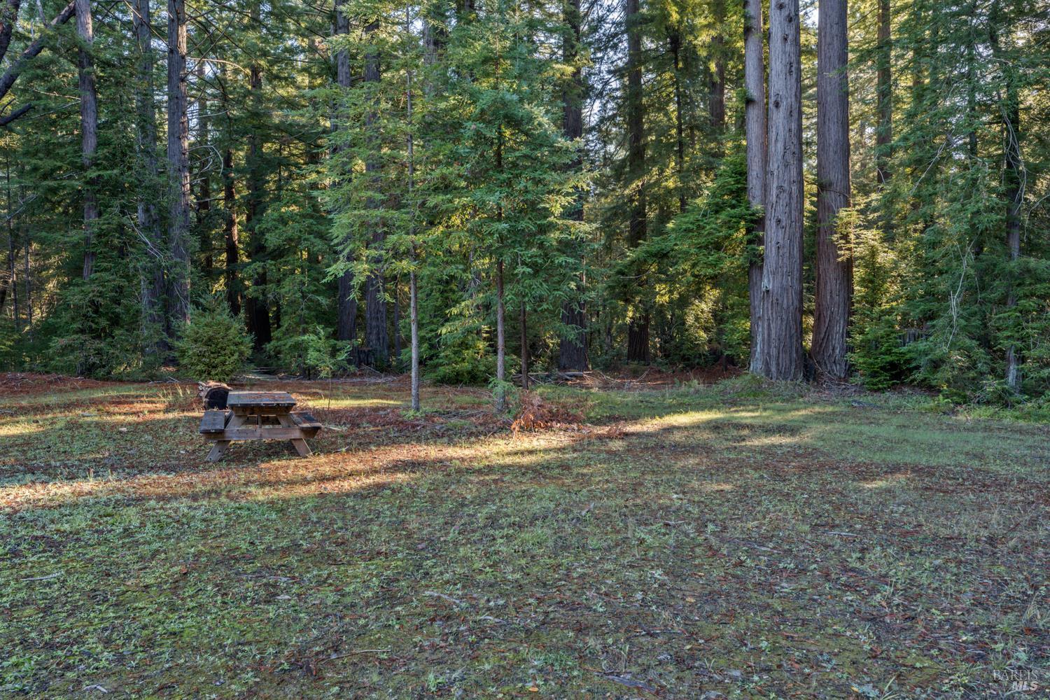 Philo, California, 95466, United States, 3 Bedrooms Bedrooms, ,3 BathroomsBathrooms,Residential,For Sale,1987364