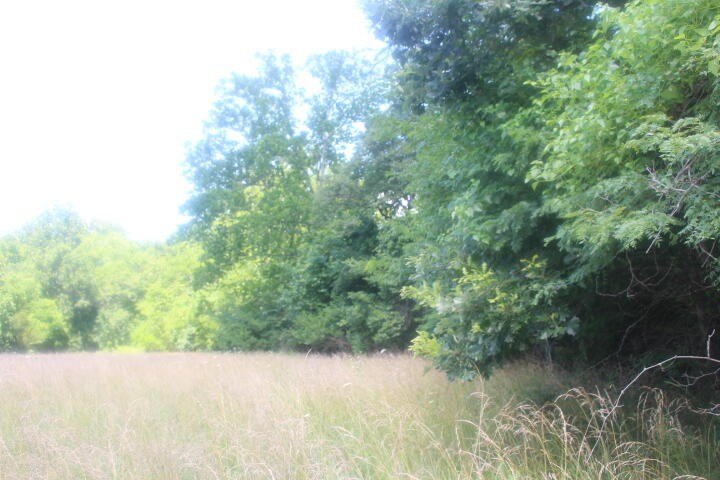 Polk, Missouri, 65727, United States, ,Land,For Sale,1980569