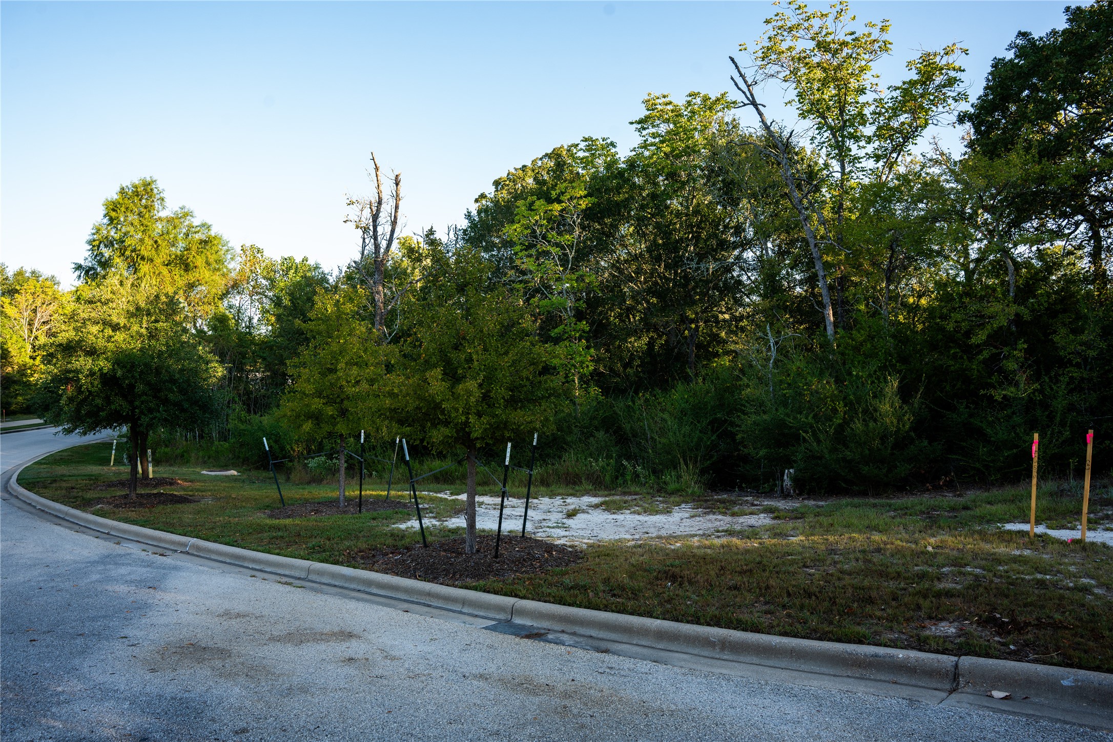 Bryan, Texas, 77807, United States, ,Land,For Sale,1986491