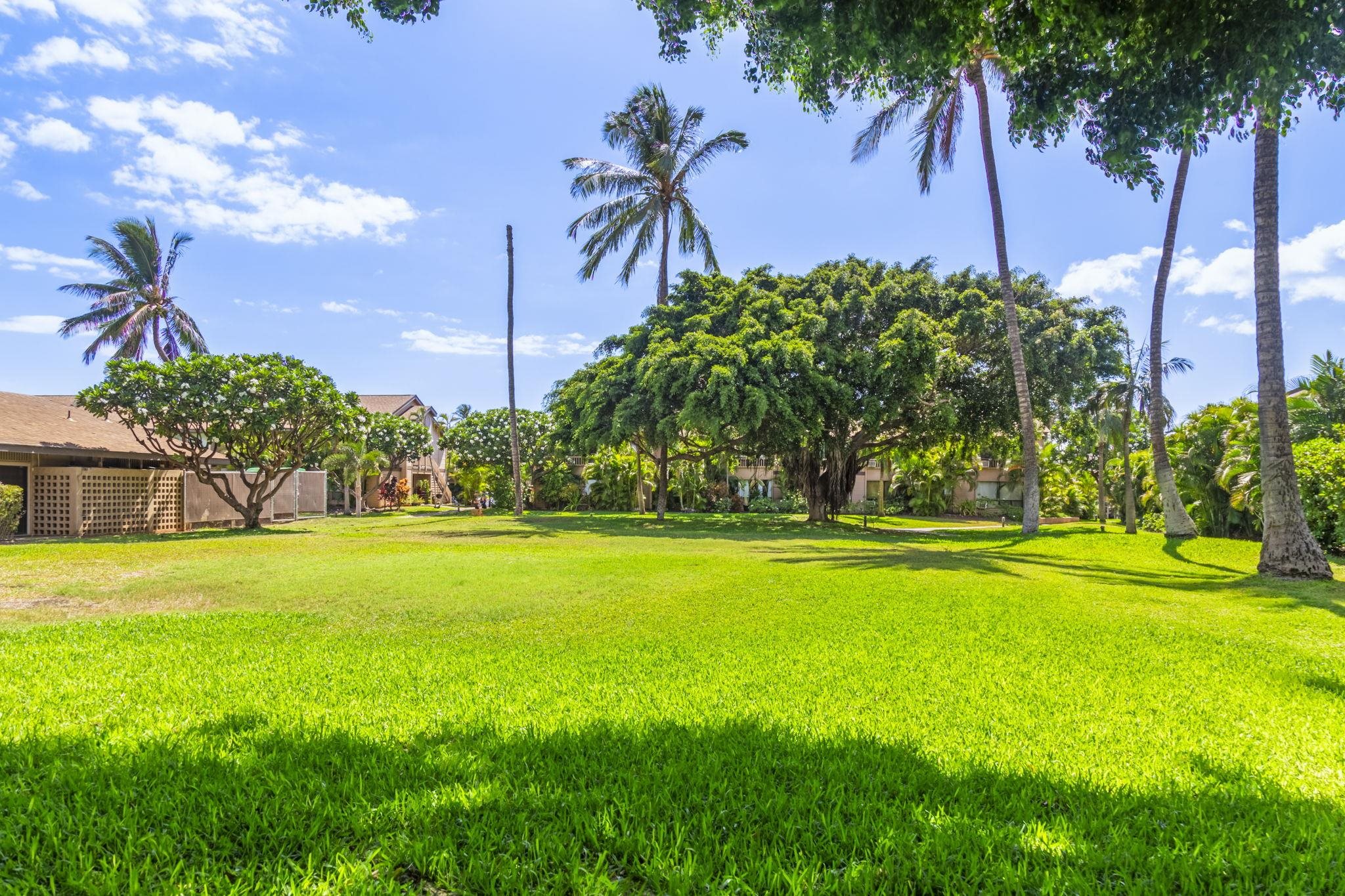 Kihei, Hawaii, 96753, United States, 3 Bedrooms Bedrooms, ,2 BathroomsBathrooms,Residential,For Sale,1901251