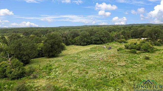 Henderson, Texas, 75654, United States, ,Land,For Sale,1951348