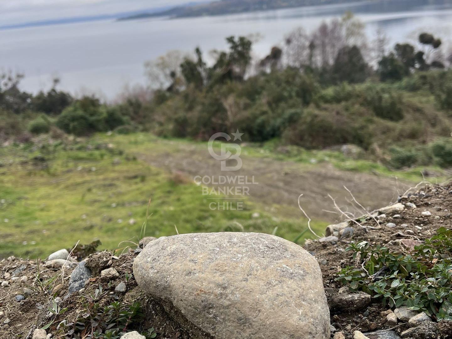 Futrono, Chile, ,Residential,For Sale,1919712