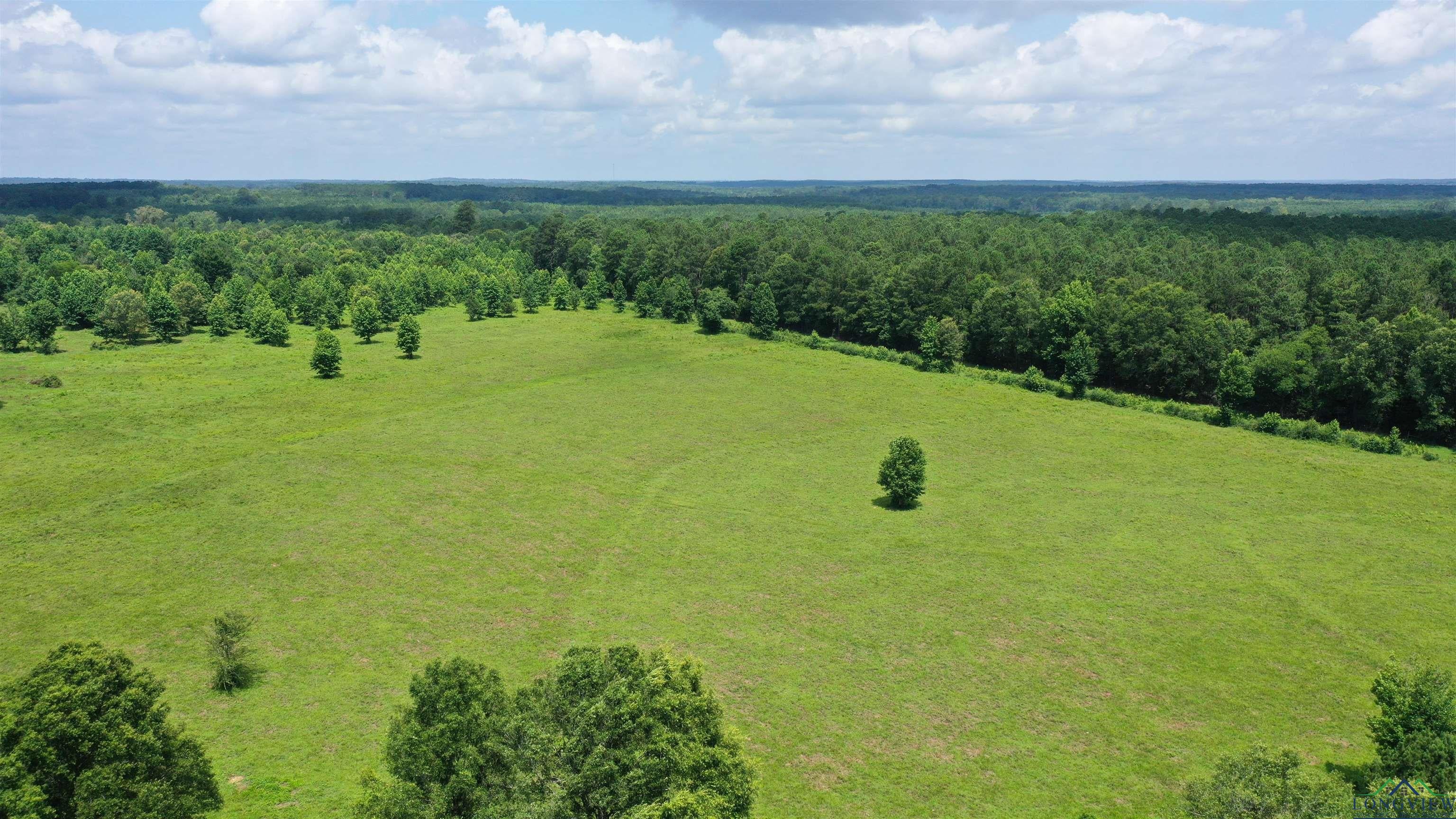 Linden, Texas, 75563, United States, ,Residential,For Sale,1809519
