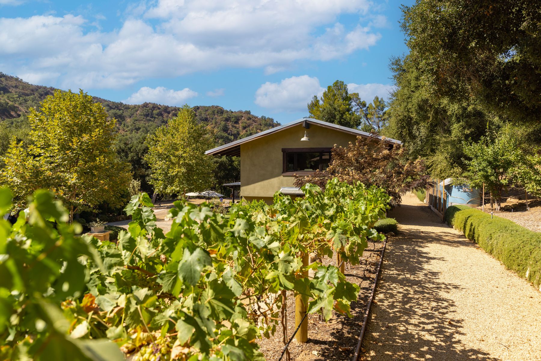  5 Acres Estate Adjacent to the Ojai Valley Inn & Spa  Rustic Bohemian Compound - 物件實景