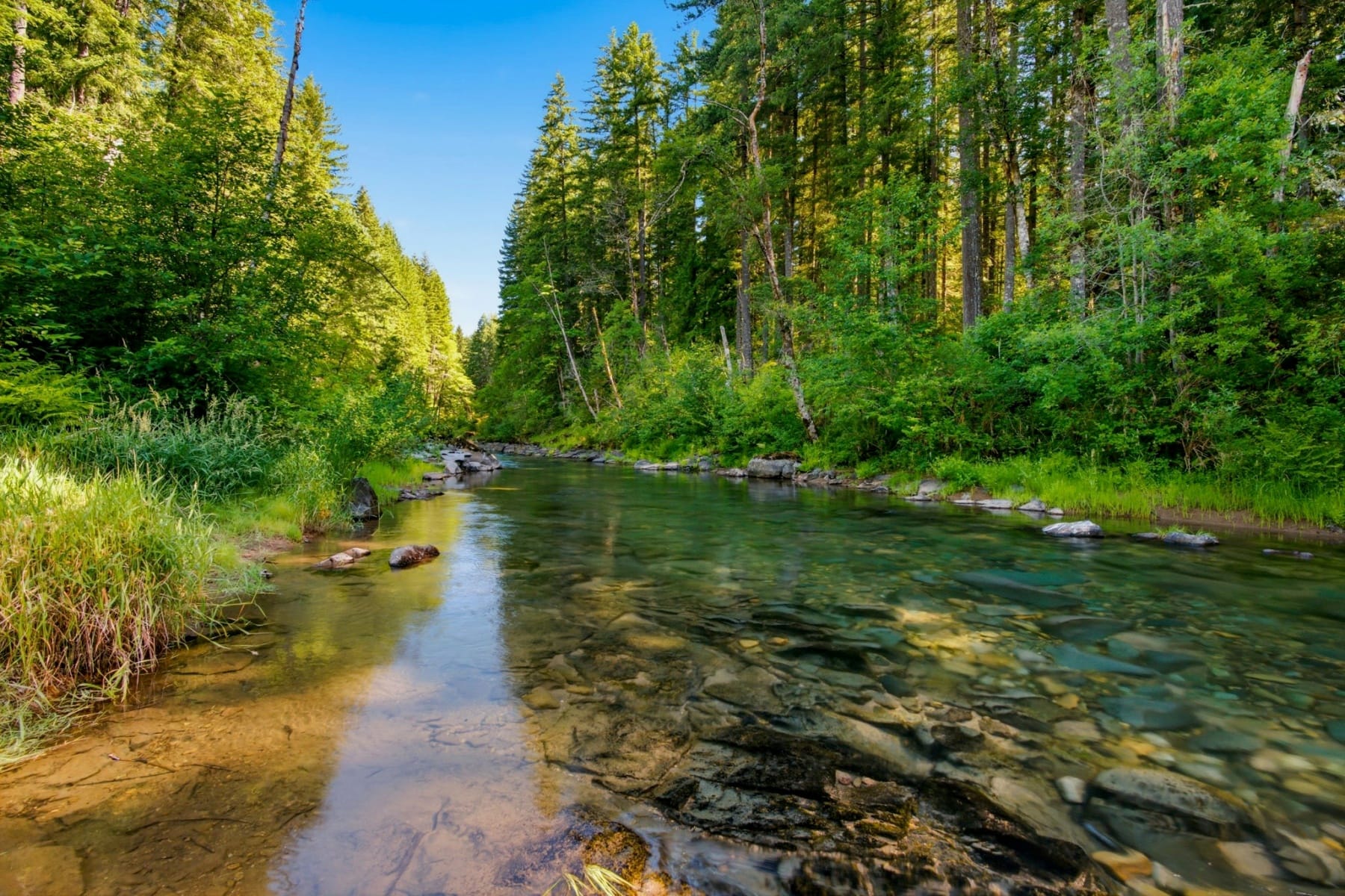  282 EDGEWATER DR Carson, WA 98610 - 物件實景