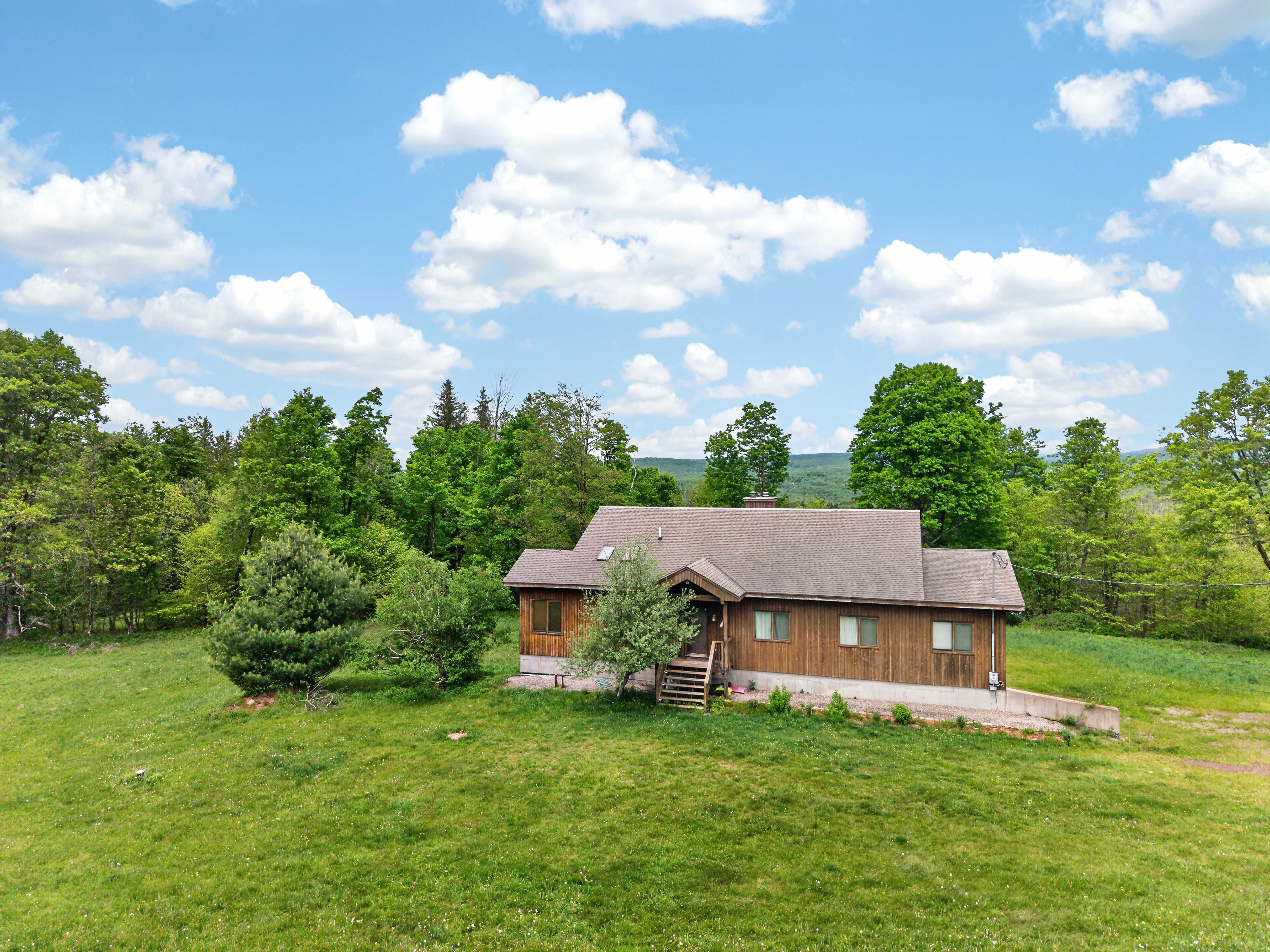  81 N Pond Drive, Livingston Manor, NY, 12758 - 物件實景