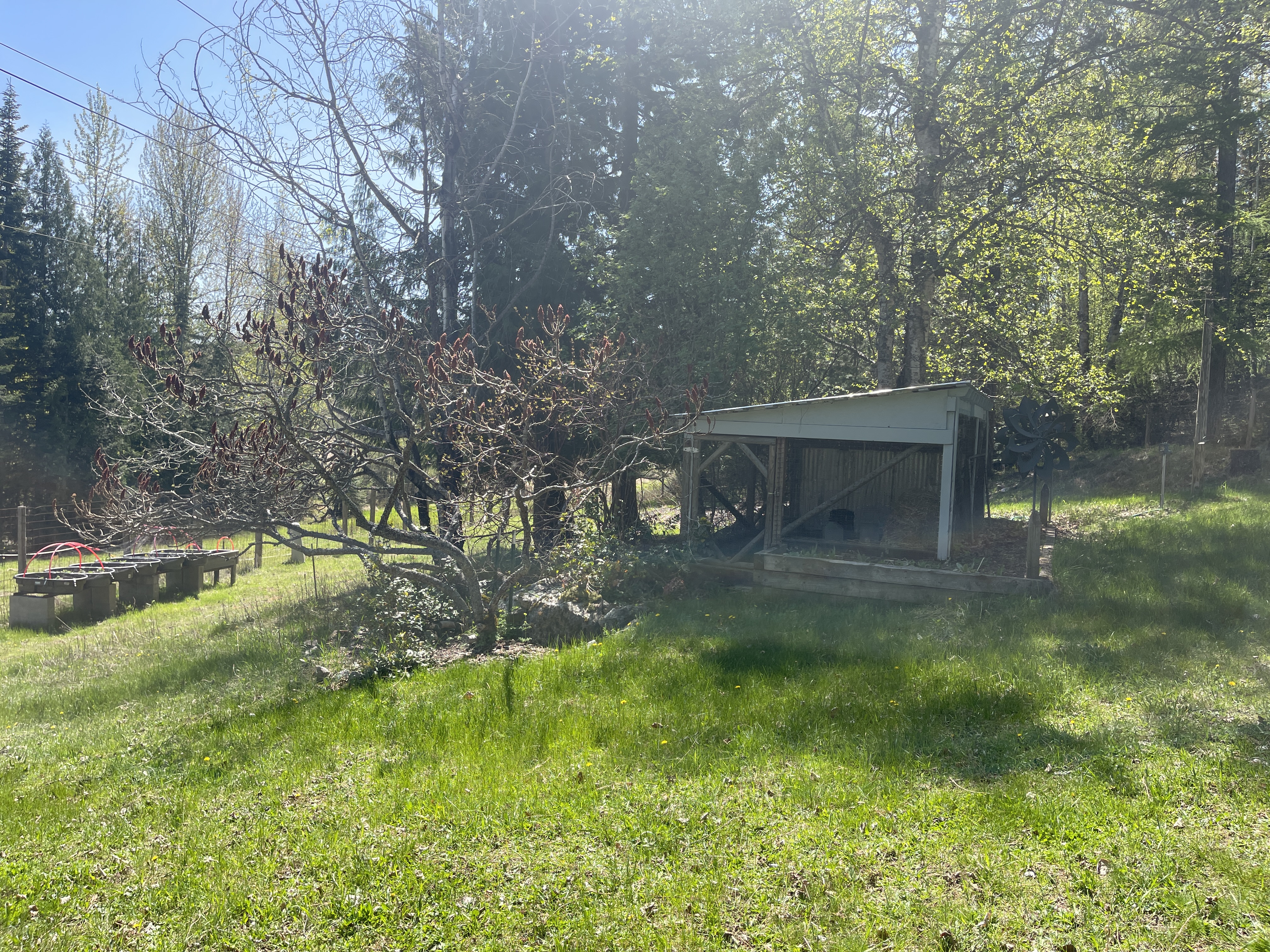 Sandpoint, Idaho, 83864, United States, 1 Bedroom Bedrooms, ,1 BathroomBathrooms,Residential,For Sale,1942790