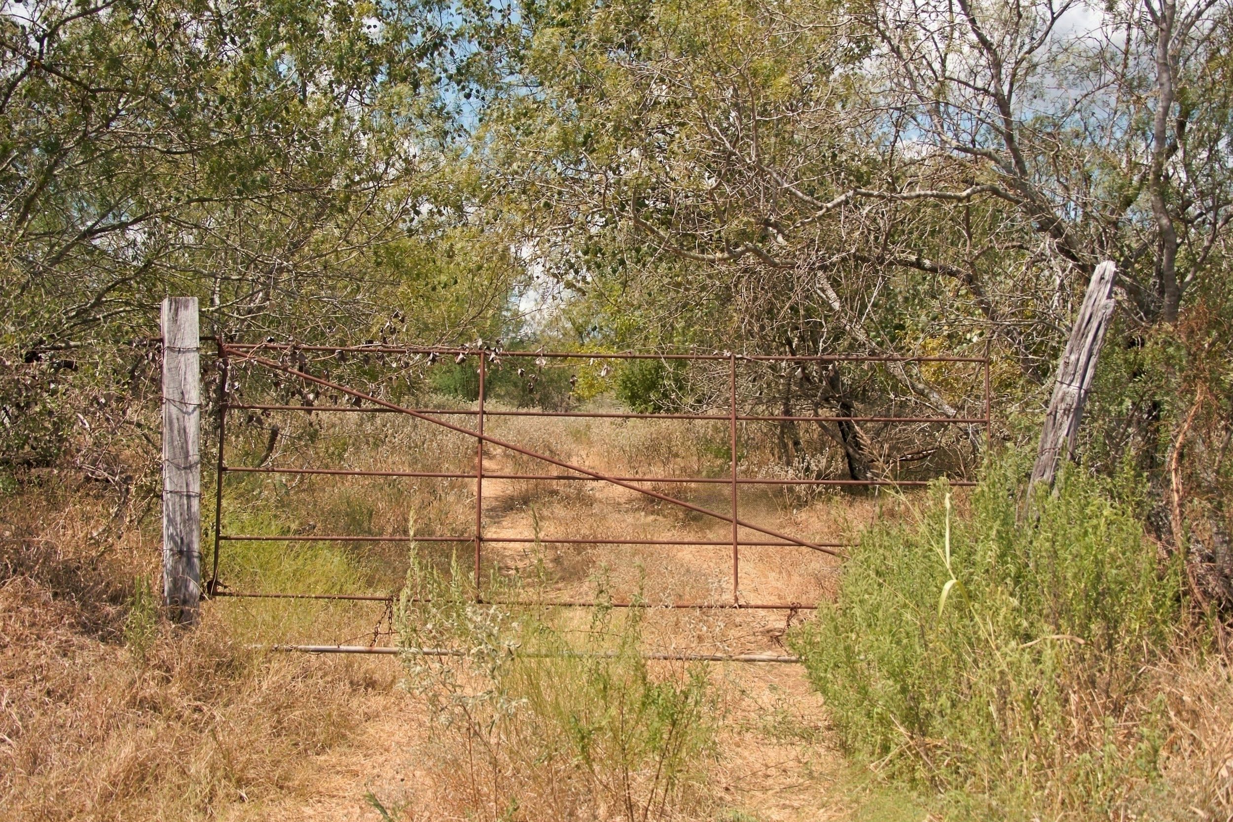  186+/- Acre Post Oak Hill Ranch - 物件實景