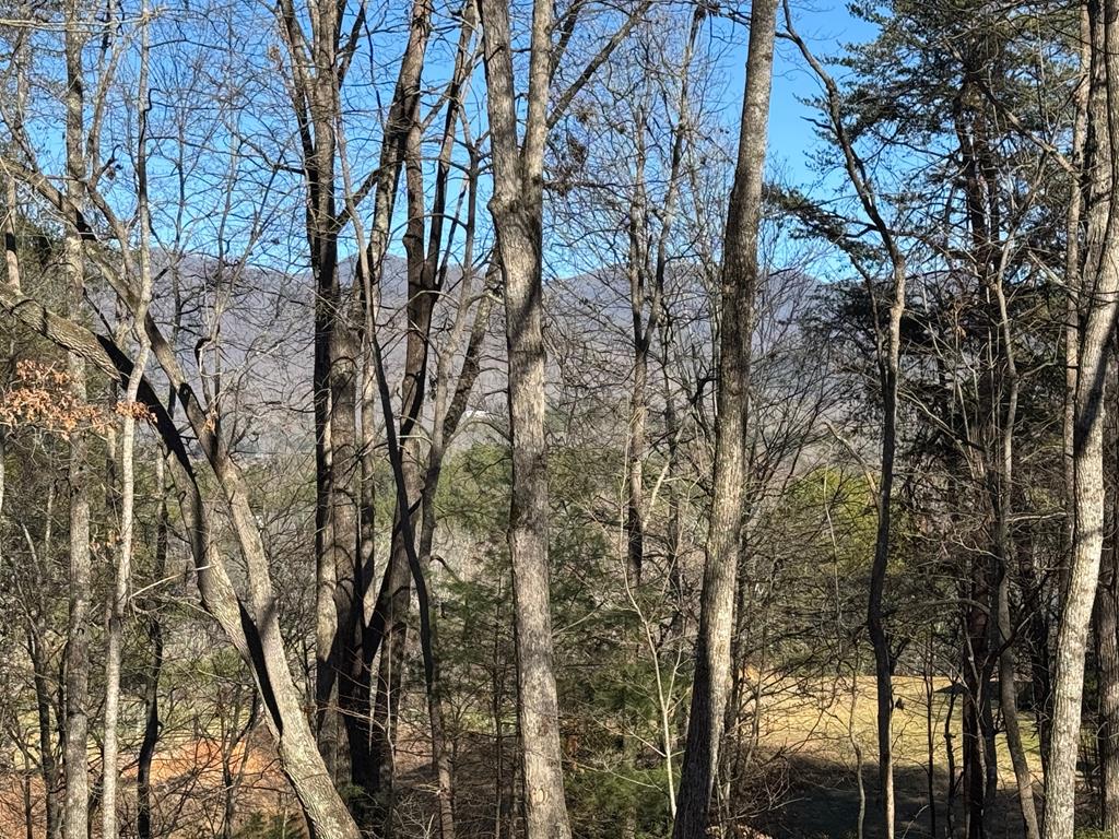 Blairsville, Georgia, 30512, United States, 4 Bedrooms Bedrooms, ,3 BathroomsBathrooms,Residential,For Sale,1858938