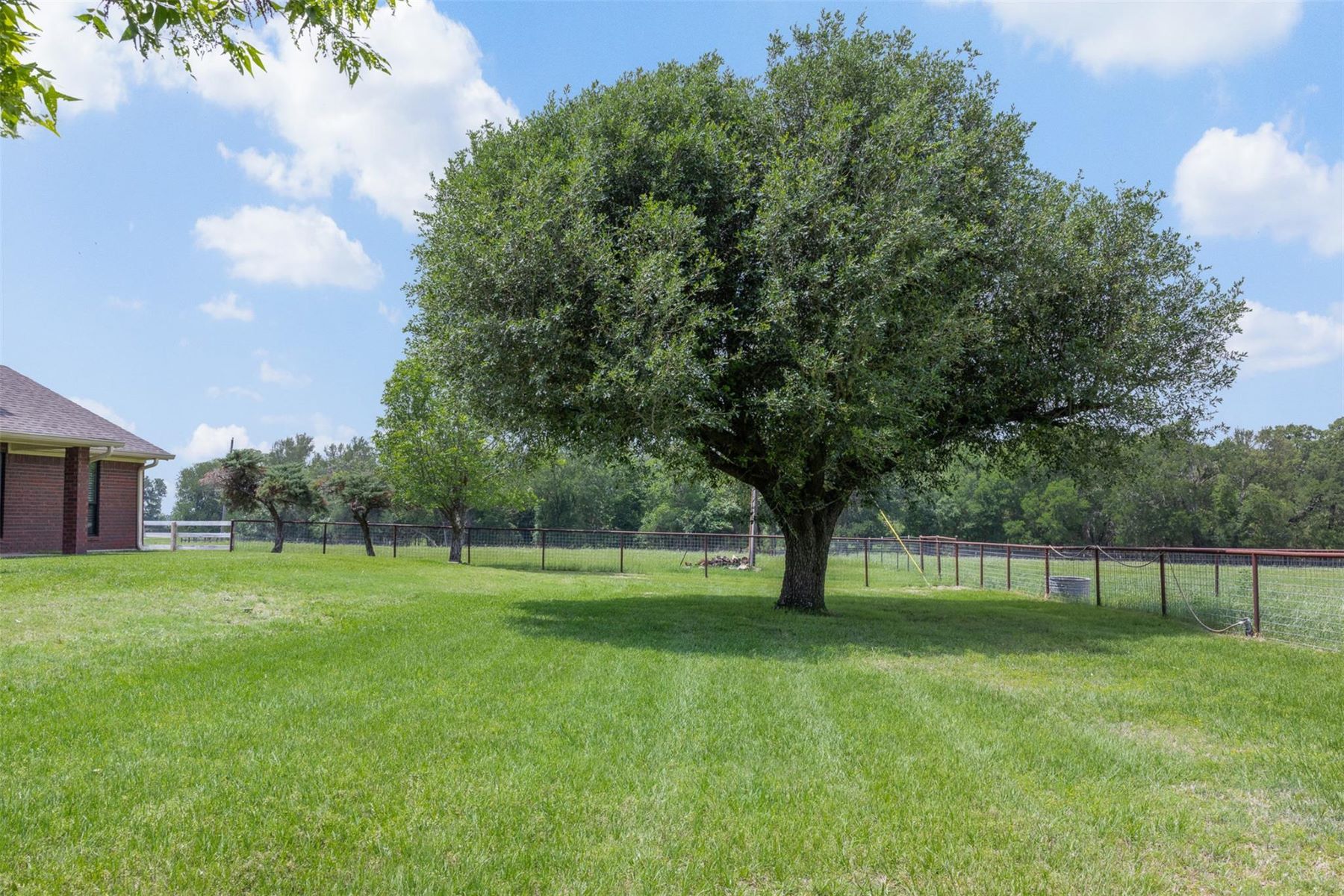  1016 County Road 306, Rockdale, TX 76567 - 物件實景