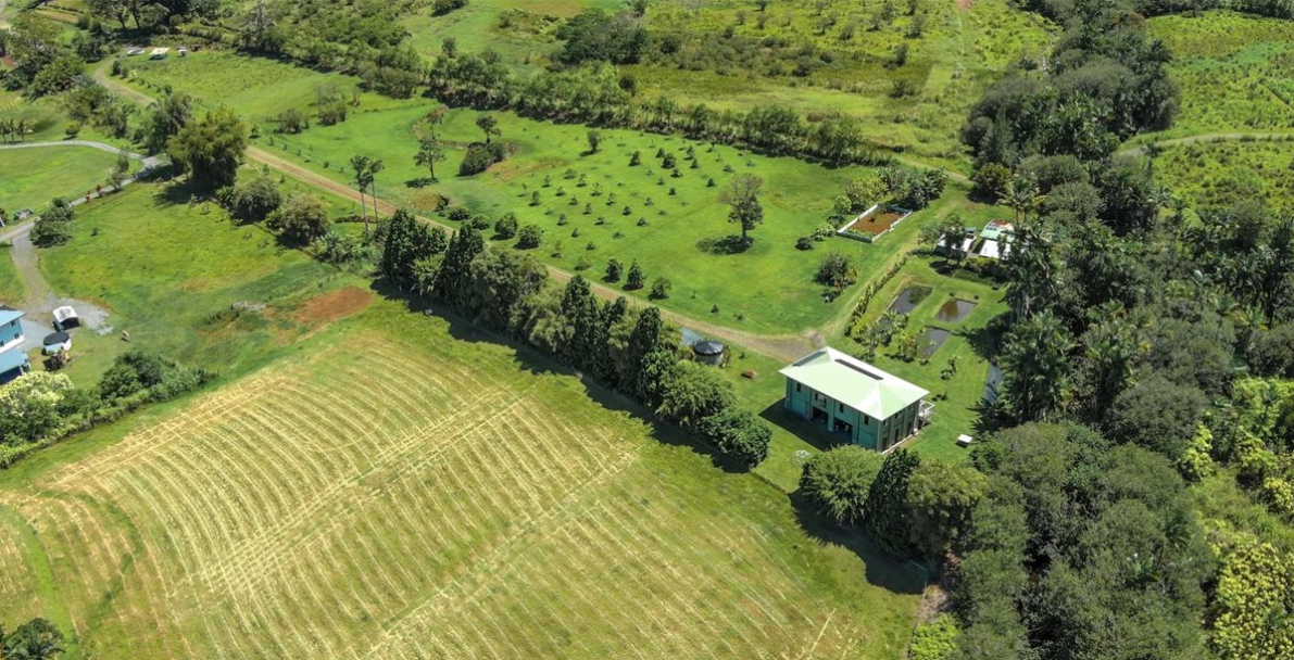 Hakalau, Hawaii, 96710, United States, 4 Bedrooms Bedrooms, ,3 BathroomsBathrooms,Residential,For Sale,1974995