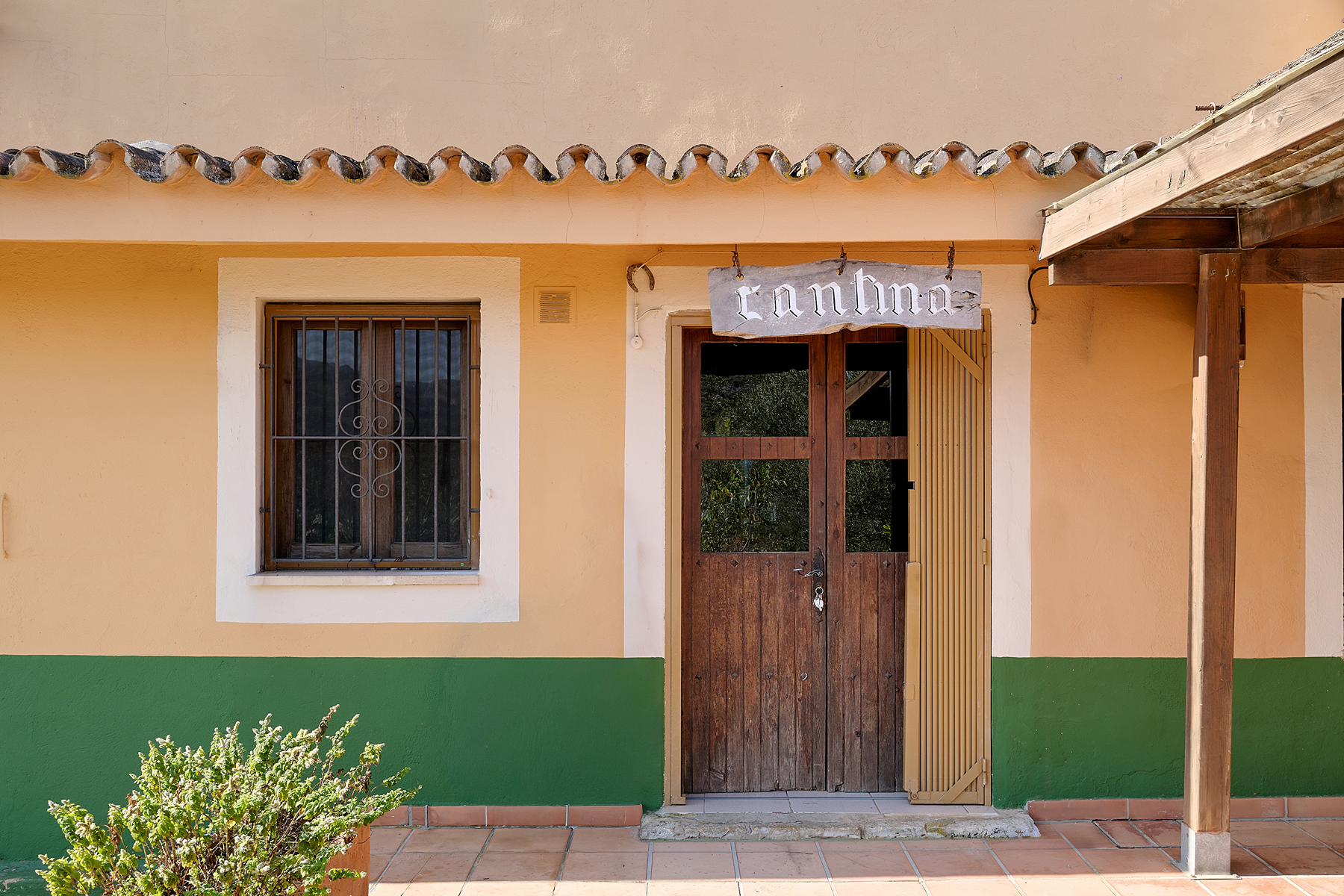  Country Estate with Equestrian Facilities in Port Andratx - 物件實景
