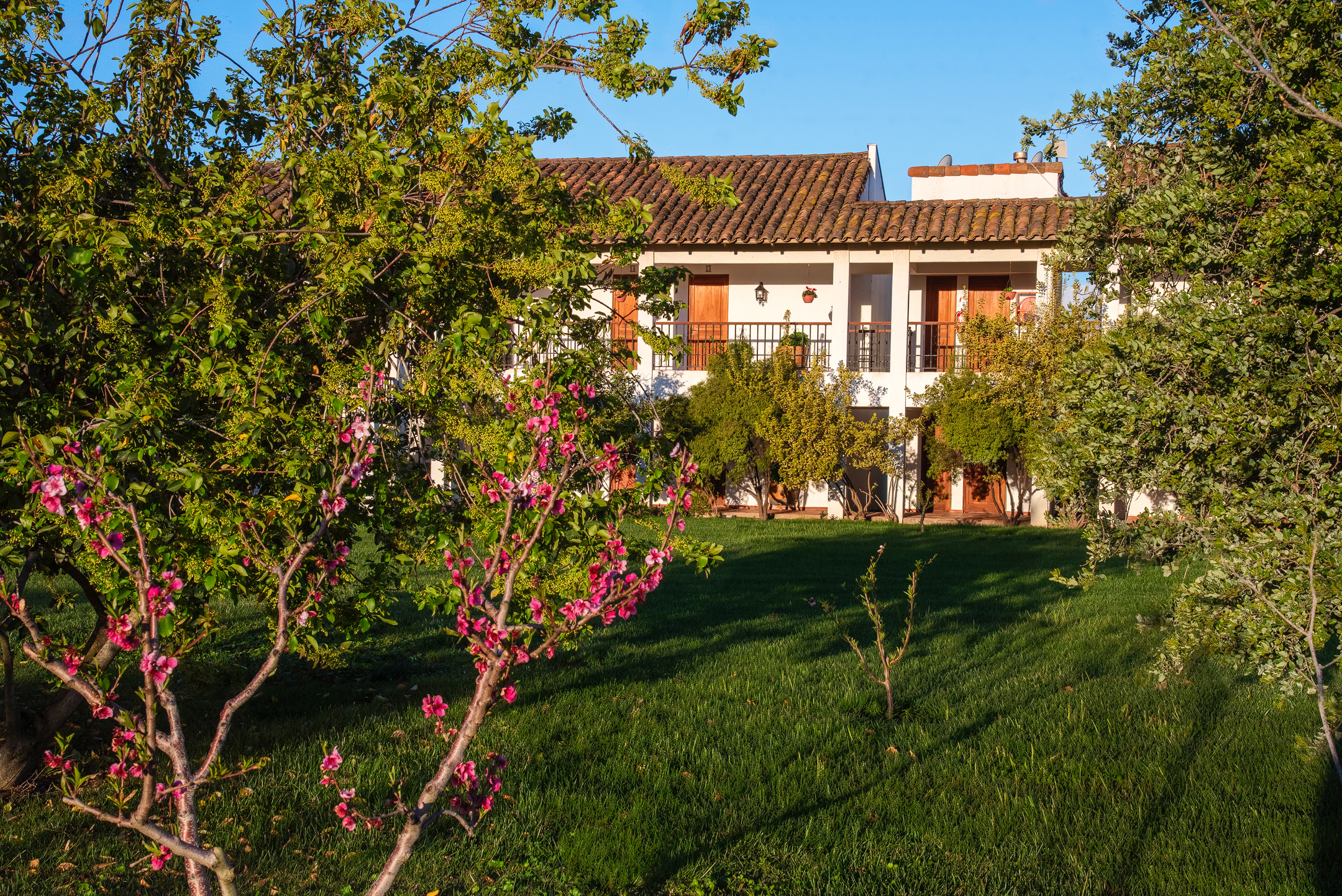  Chilean colonial-style mansion in a 3.3-hectare vineyard in Santa Cruz. - 物件實景
