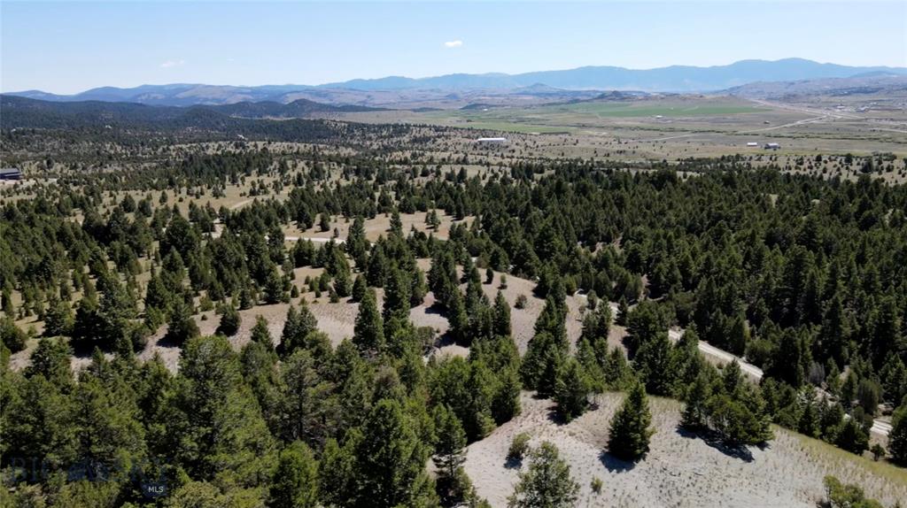 Ramsay, Montana, 59701, United States, ,Land,For Sale,1984251