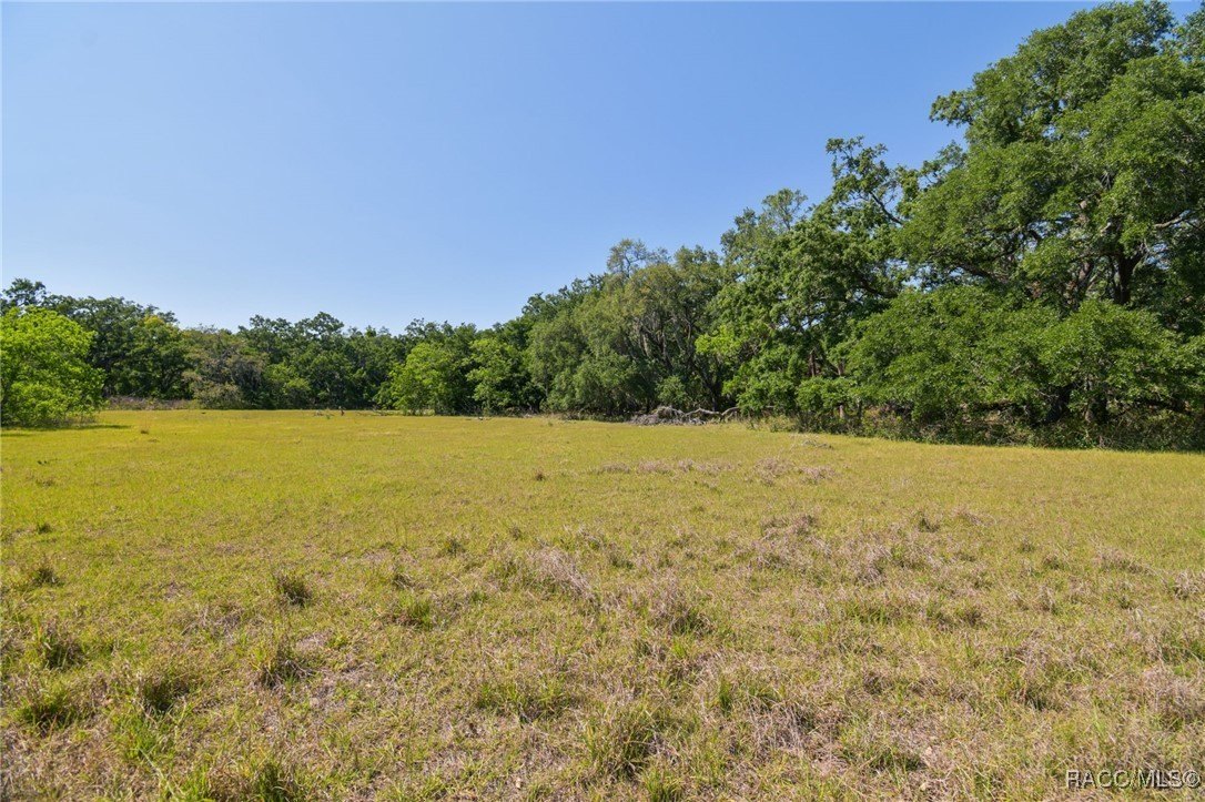 Brandon, Florida, 33511, United States, ,Land,For Sale,1981664