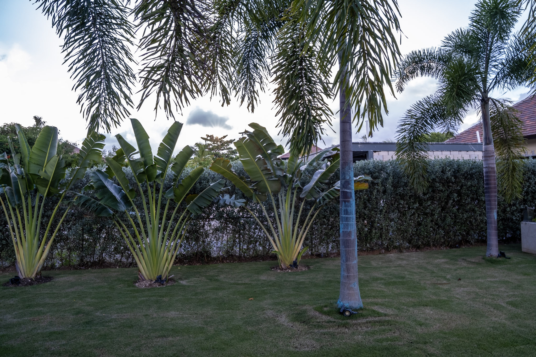 Cap Cana, DO, 3 Bedrooms Bedrooms, ,4 BathroomsBathrooms,Residential,For Sale,2003206