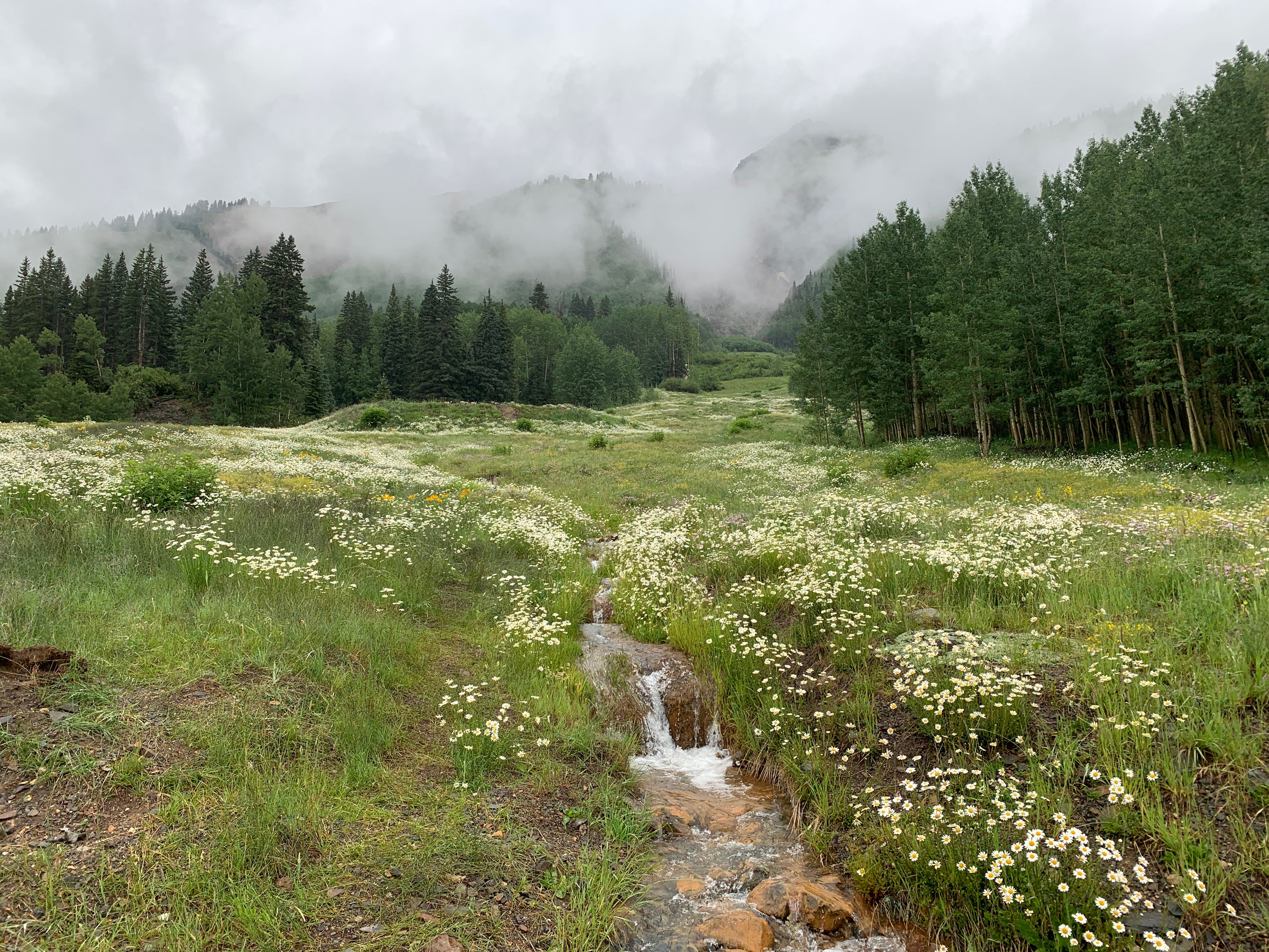  Alpine Estate with Acreage between Ouray and Silverton - 物件實景