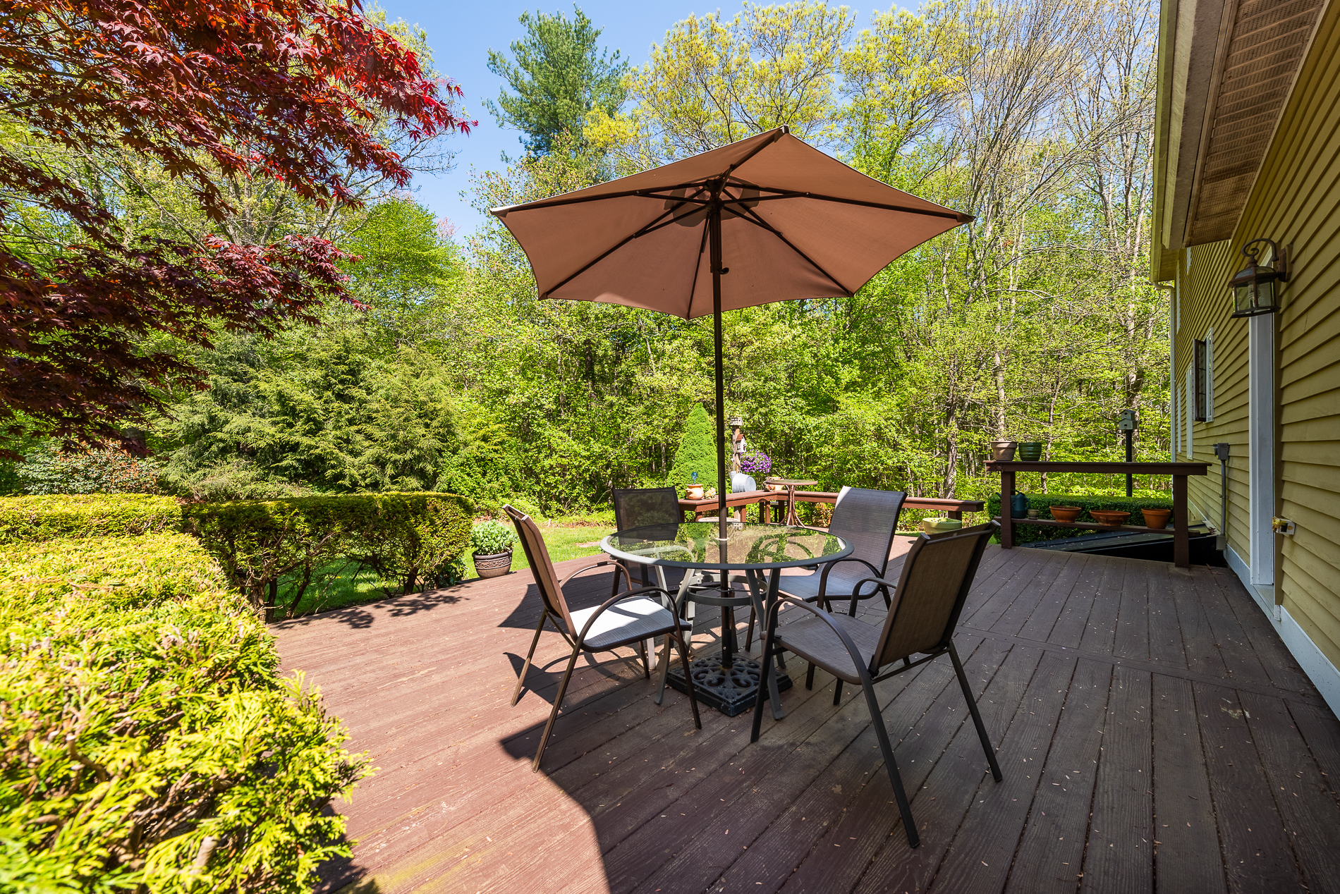  Beautifully Maintained Colonial Set on Over 2.5 Acres - 物件實景