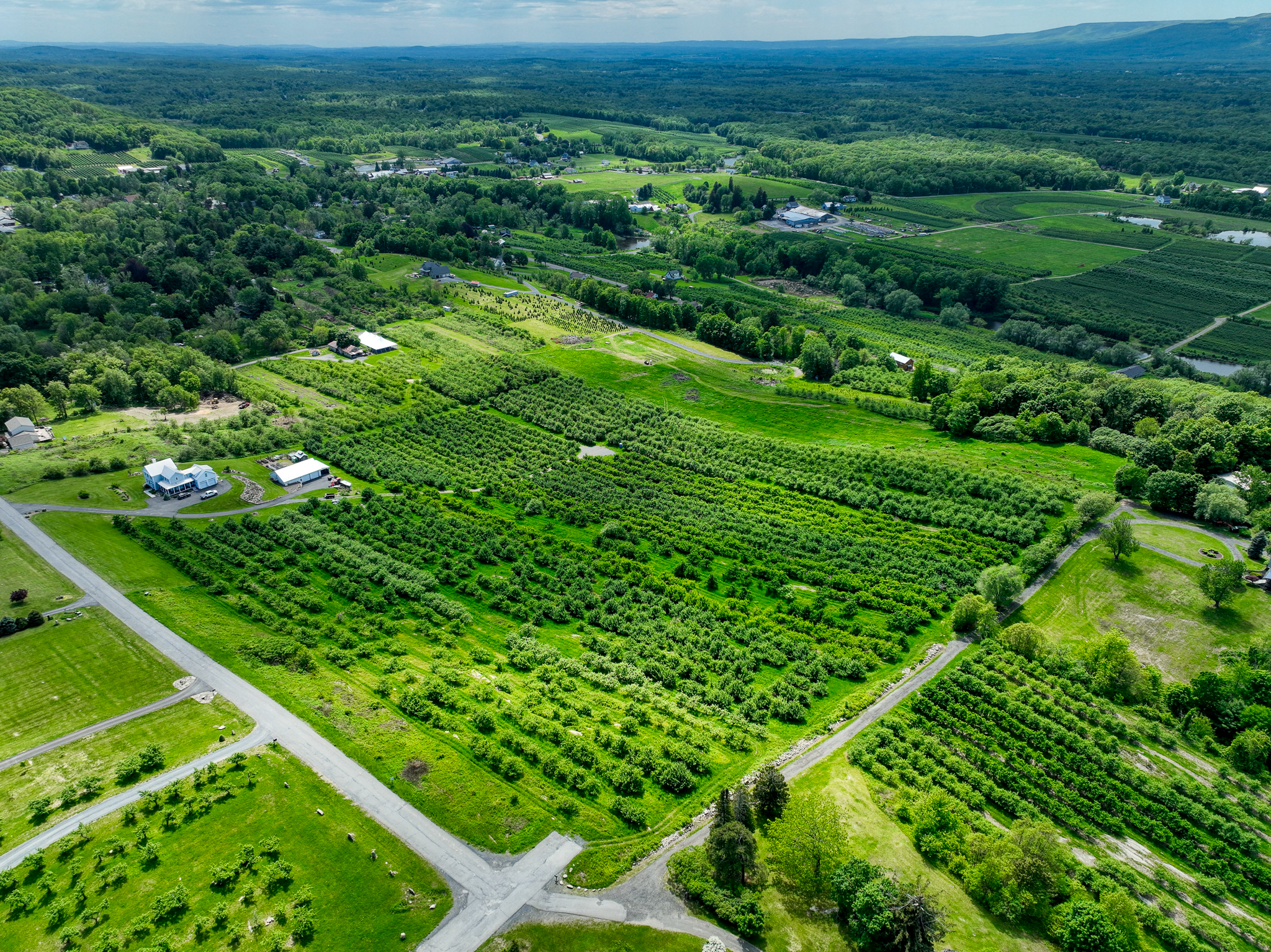  75 Palazzo Lane, Highland, NY 12528 - 物件實景