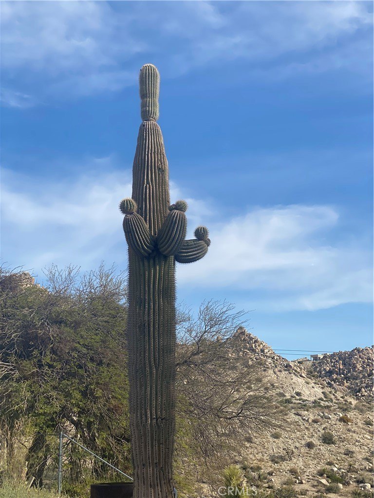 6161 Mirlo Road, Yucca Valley, California, 92284, United States, 2 Bedrooms Bedrooms, ,2 BathroomsBathrooms,Residential,For Sale,6161 Mirlo Road,1600905