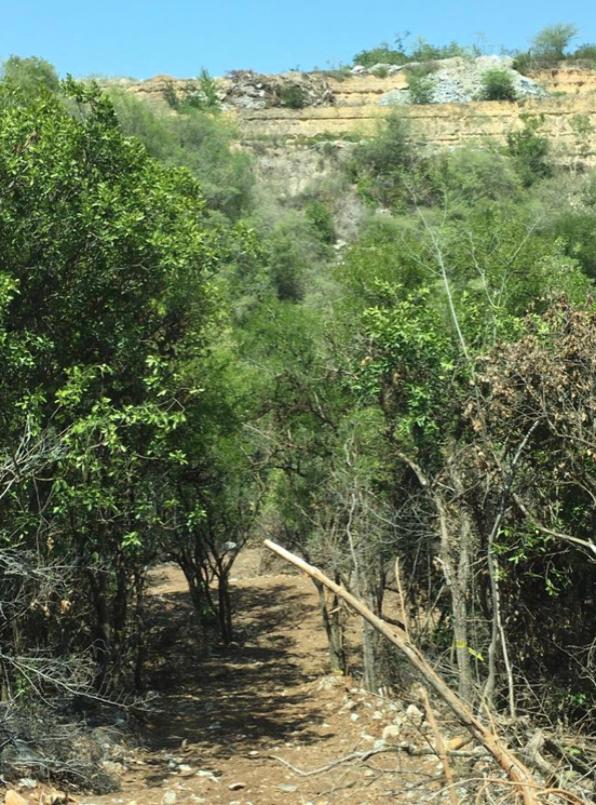 El Barrial, Santiago, Nuevo León, 67323, Mexico, 1 Bedroom Bedrooms, ,Residential,For Sale,El Barrial,1621120