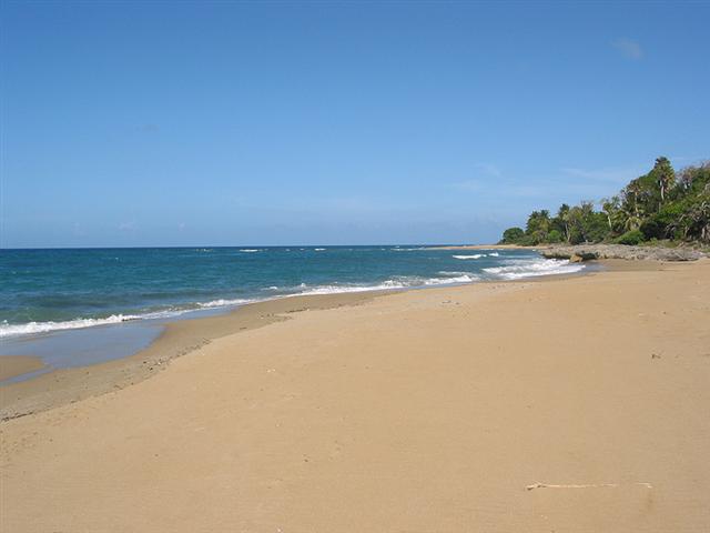 Cabarete, DO, ,Land,For Sale,927965
