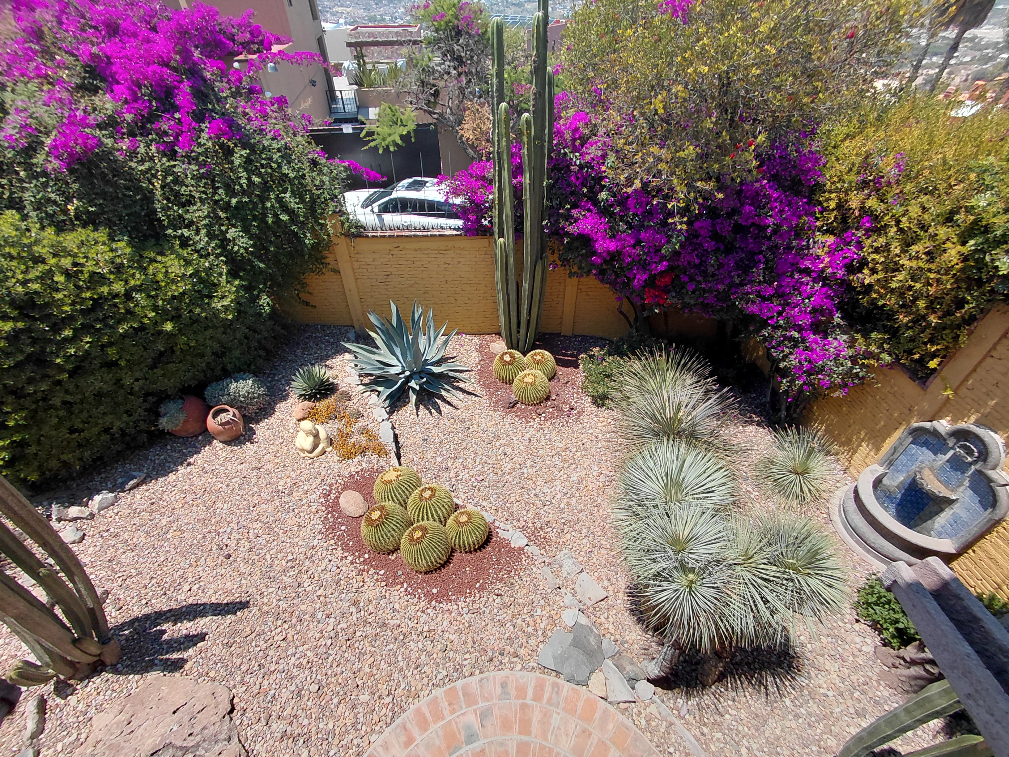  Casa Colina - 物件實景