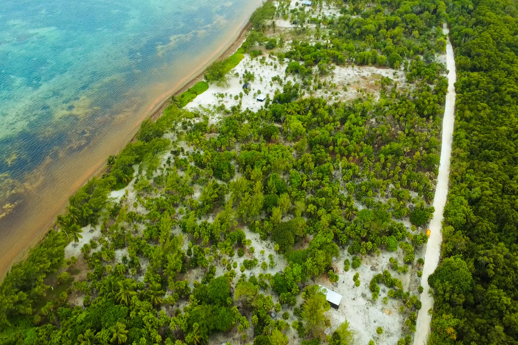  Viridiana Reserve: Beachfront Macro-lot in a Prime Location - 物件實景
