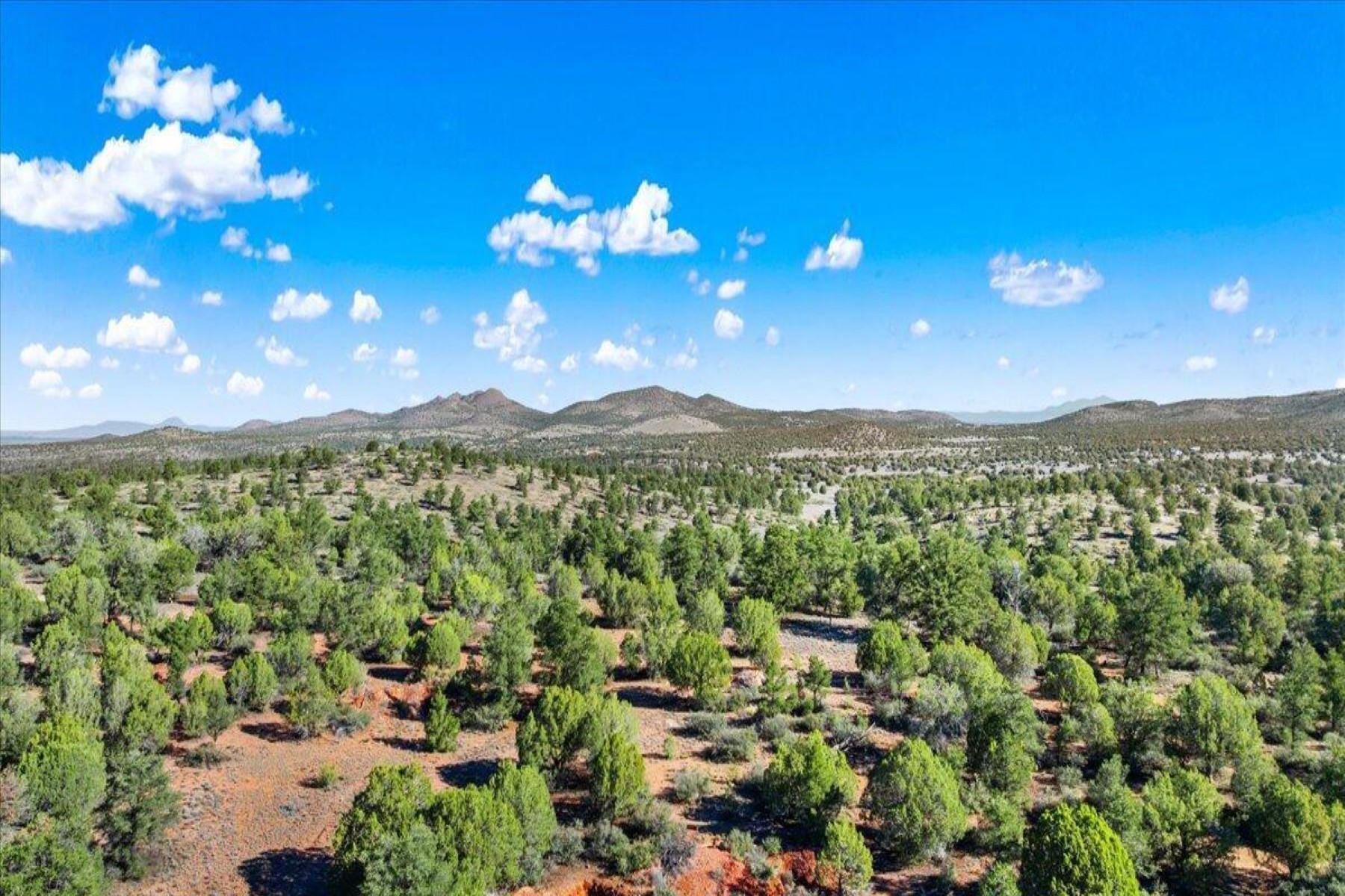  5636 W Meriah Lane  Prescott, AZ - 物件實景