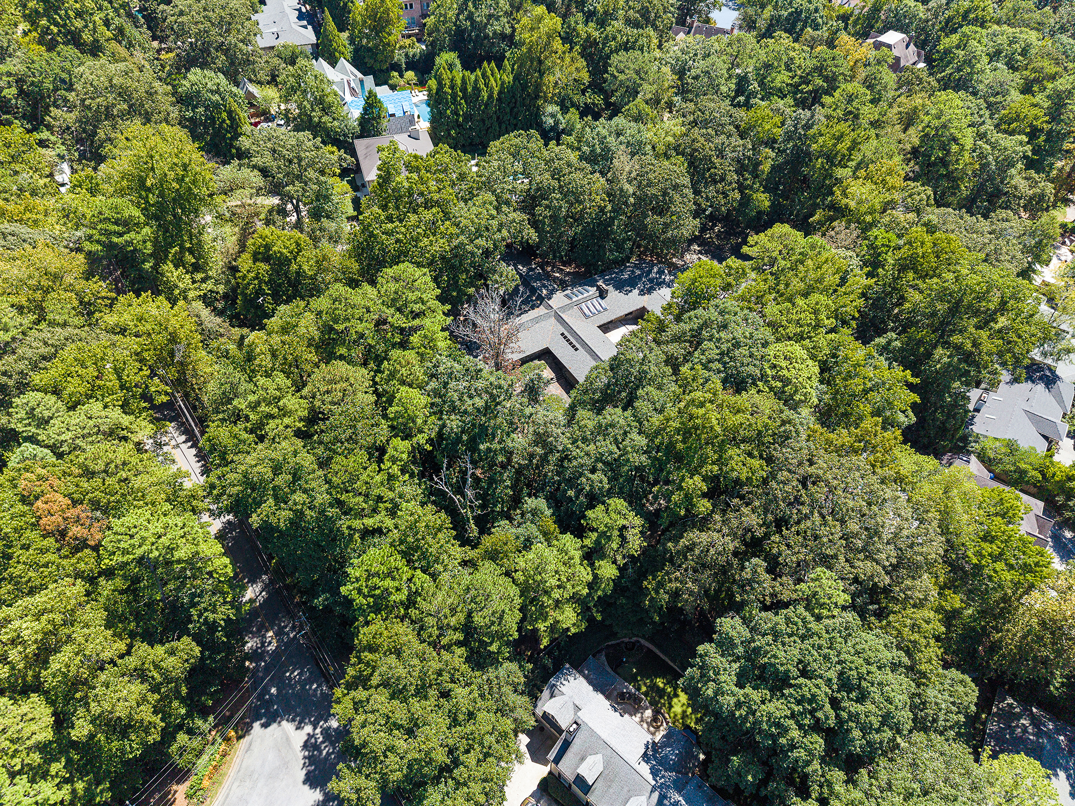  Incredible Opportunity to Build a Custom Estate Home - 物件實景
