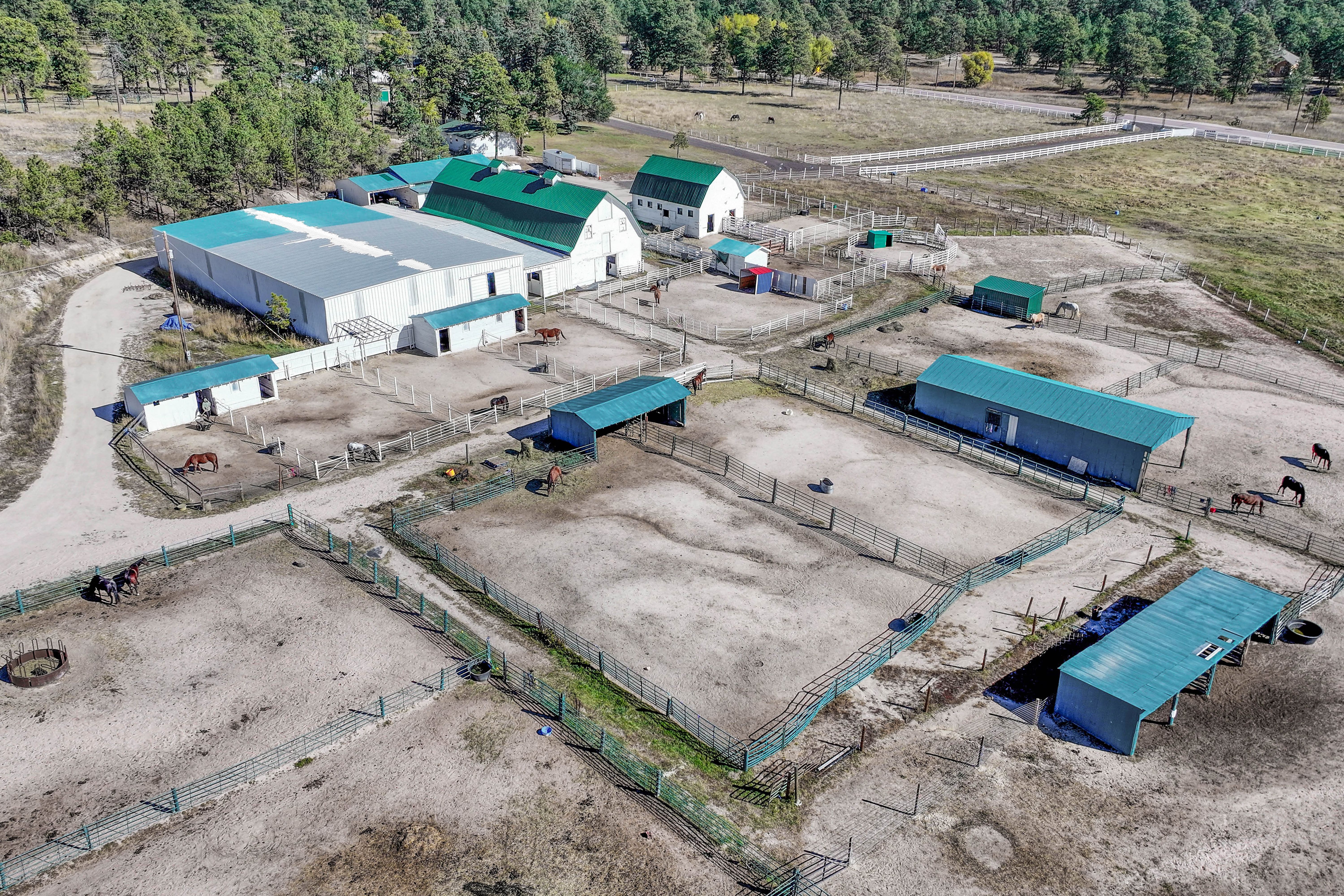  Historic Pine Run Ranch in Black Forest on rare 60 acres - 物件實景