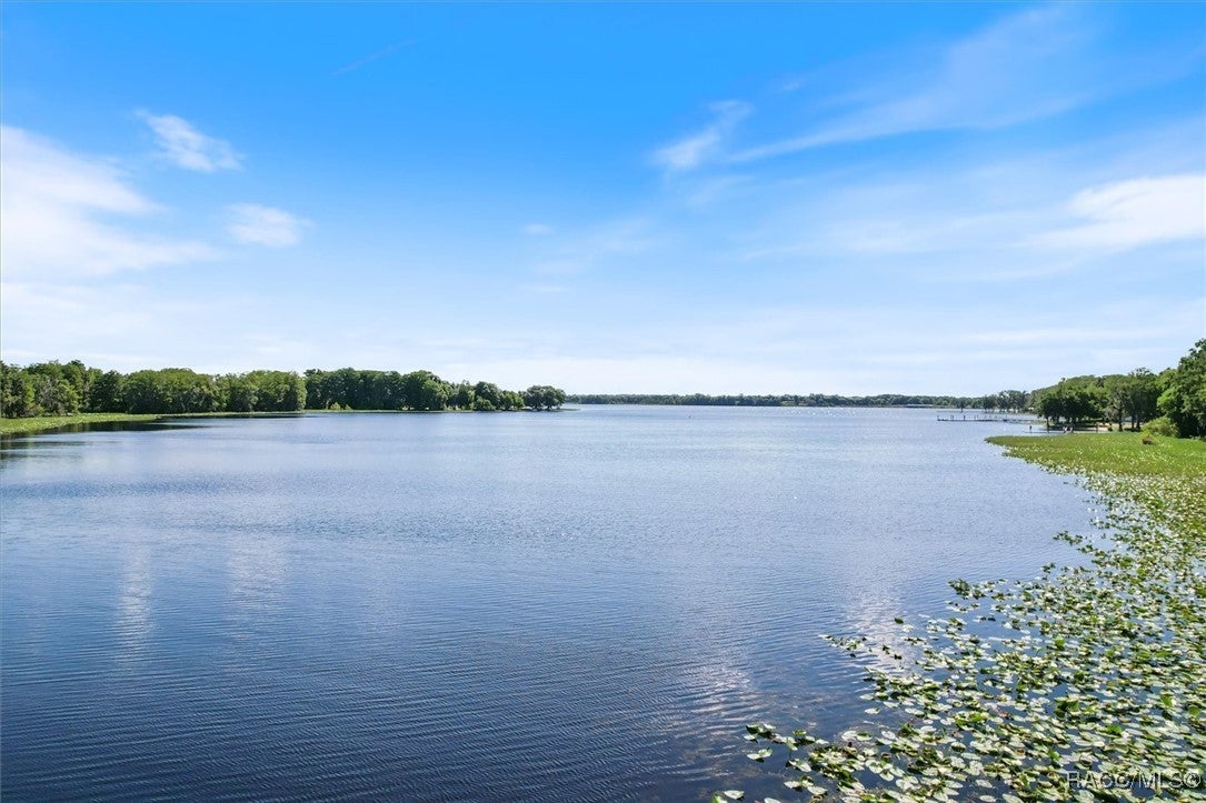 Inverness, Florida, 34450, United States, 3 Bedrooms Bedrooms, ,2 BathroomsBathrooms,Residential,For Sale,1777640