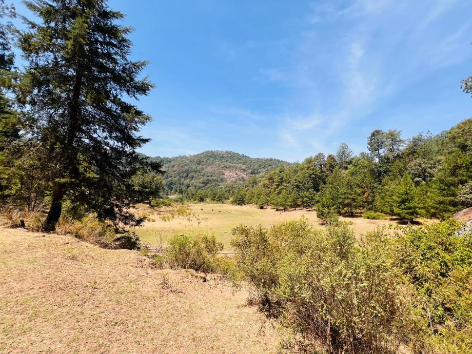 Valle de Bravo, Estado de méxico, 51200, Mexico, 1 Bedroom Bedrooms, ,Residential,For Sale,1721616
