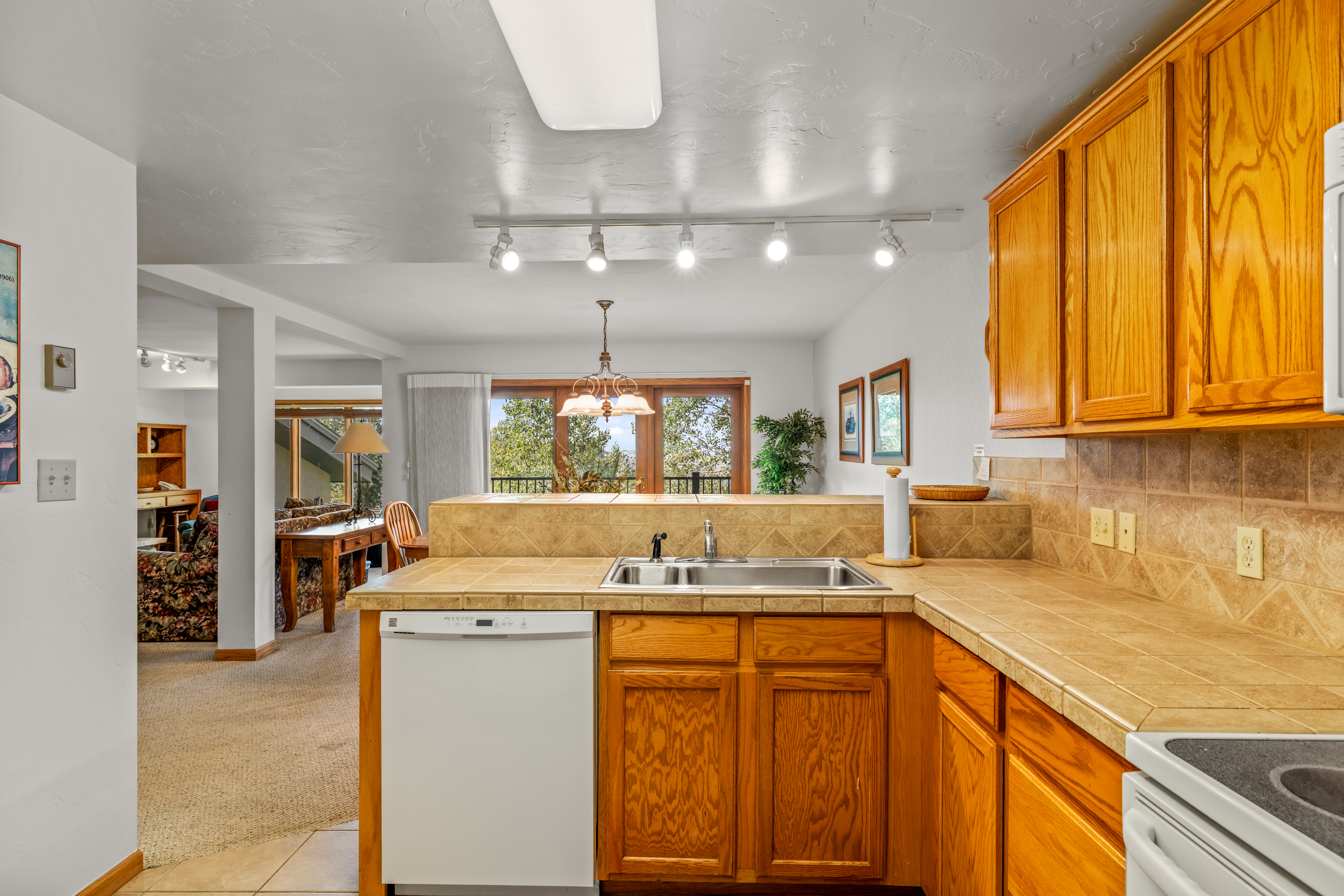  2290 Storm Meadows Drive, Steamboat Springs, CO, 80487 - 物件實景