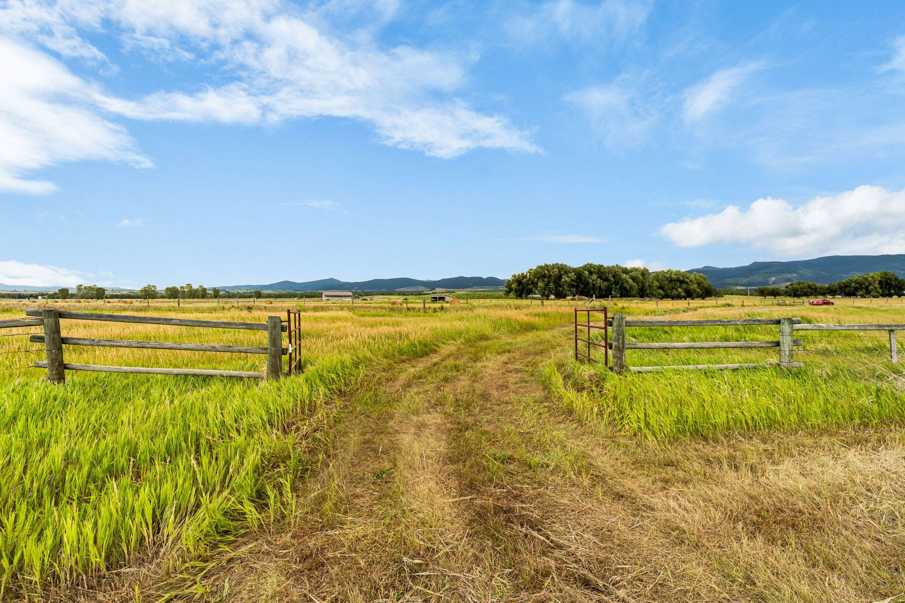  1687 Cottontail Rd - 物件實景