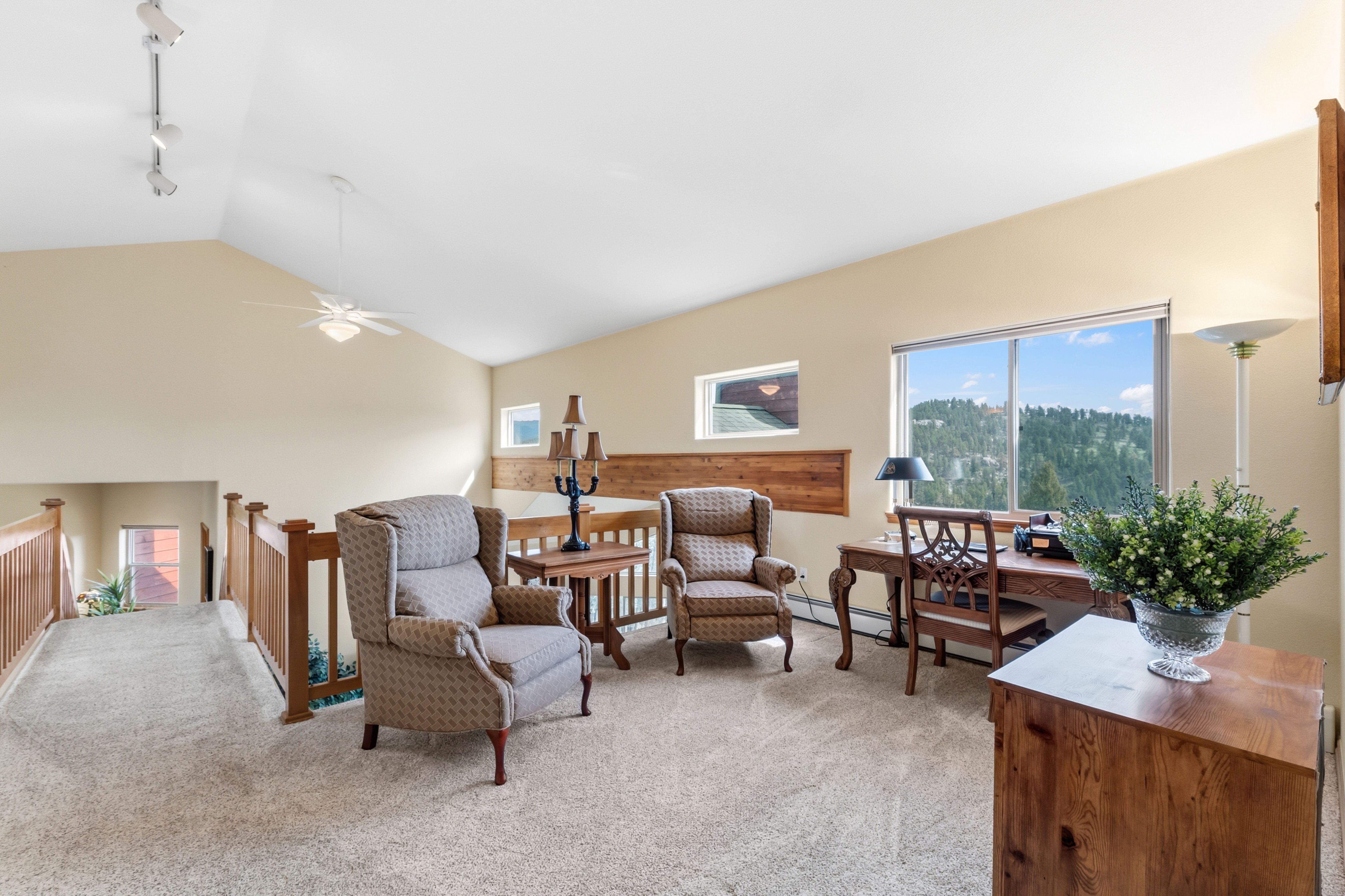  163 Old Corral Road, Bailey, CO, 80421 - 物件實景