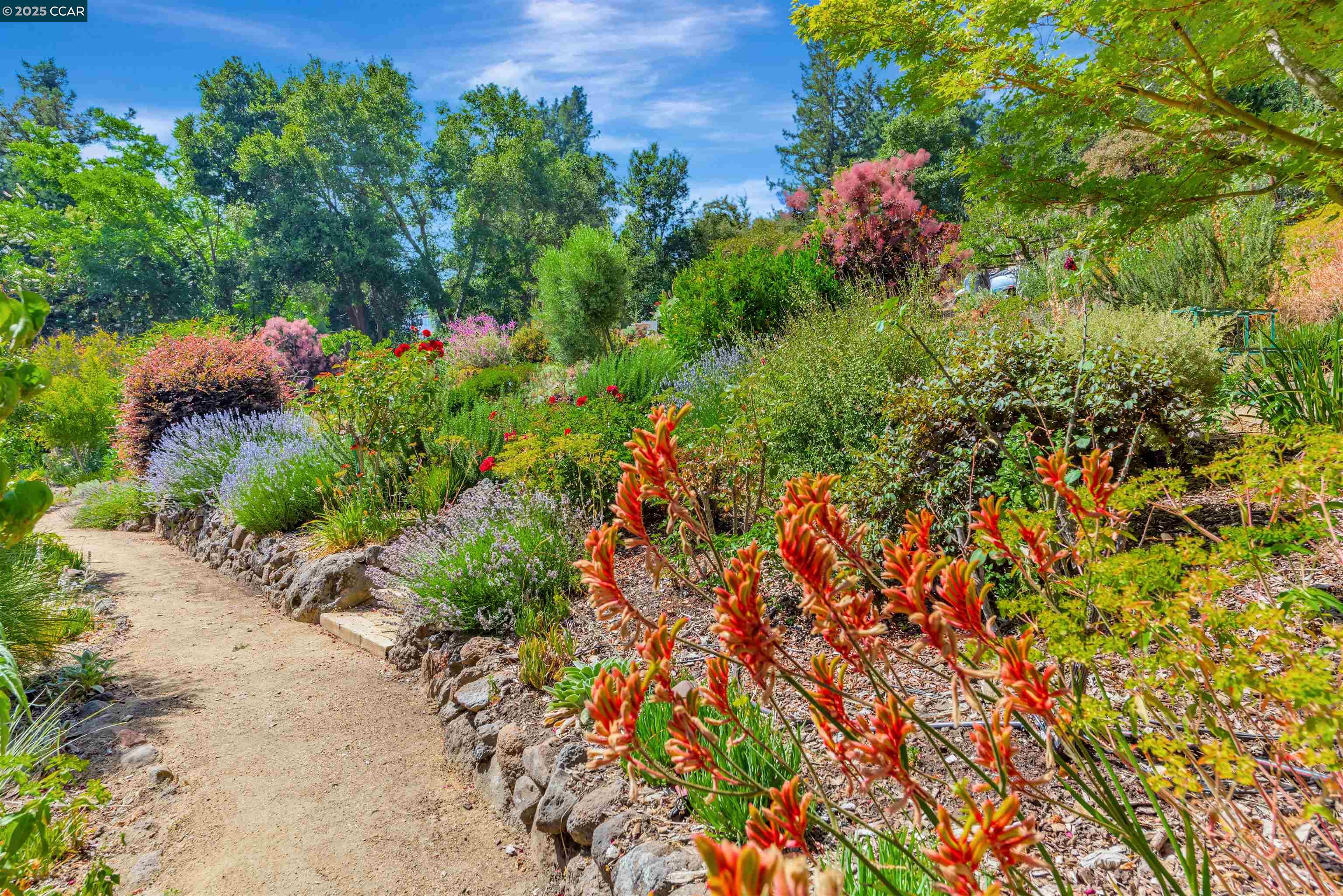 Orinda, California, 94563, United States, 4 Bedrooms Bedrooms, ,3 BathroomsBathrooms,Residential,For Sale,1885417