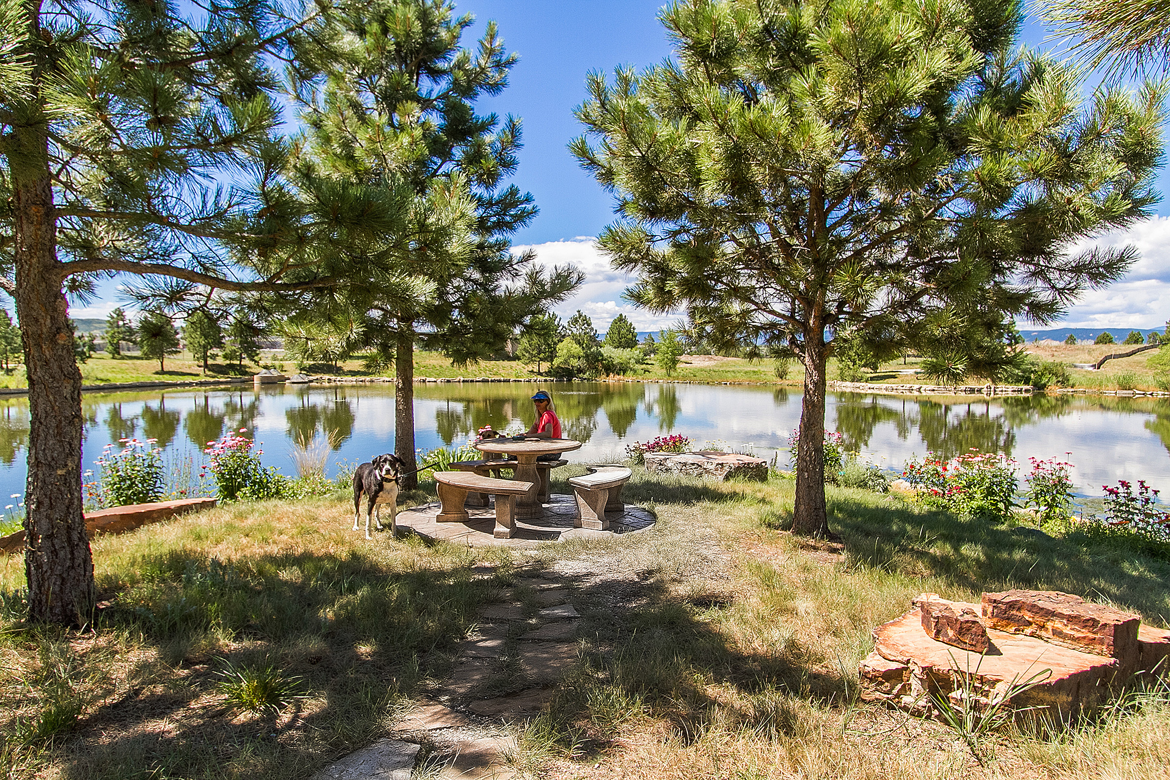  2237 Ridge Plaza Drive, Castle Rock, CO 80108 - 物件實景