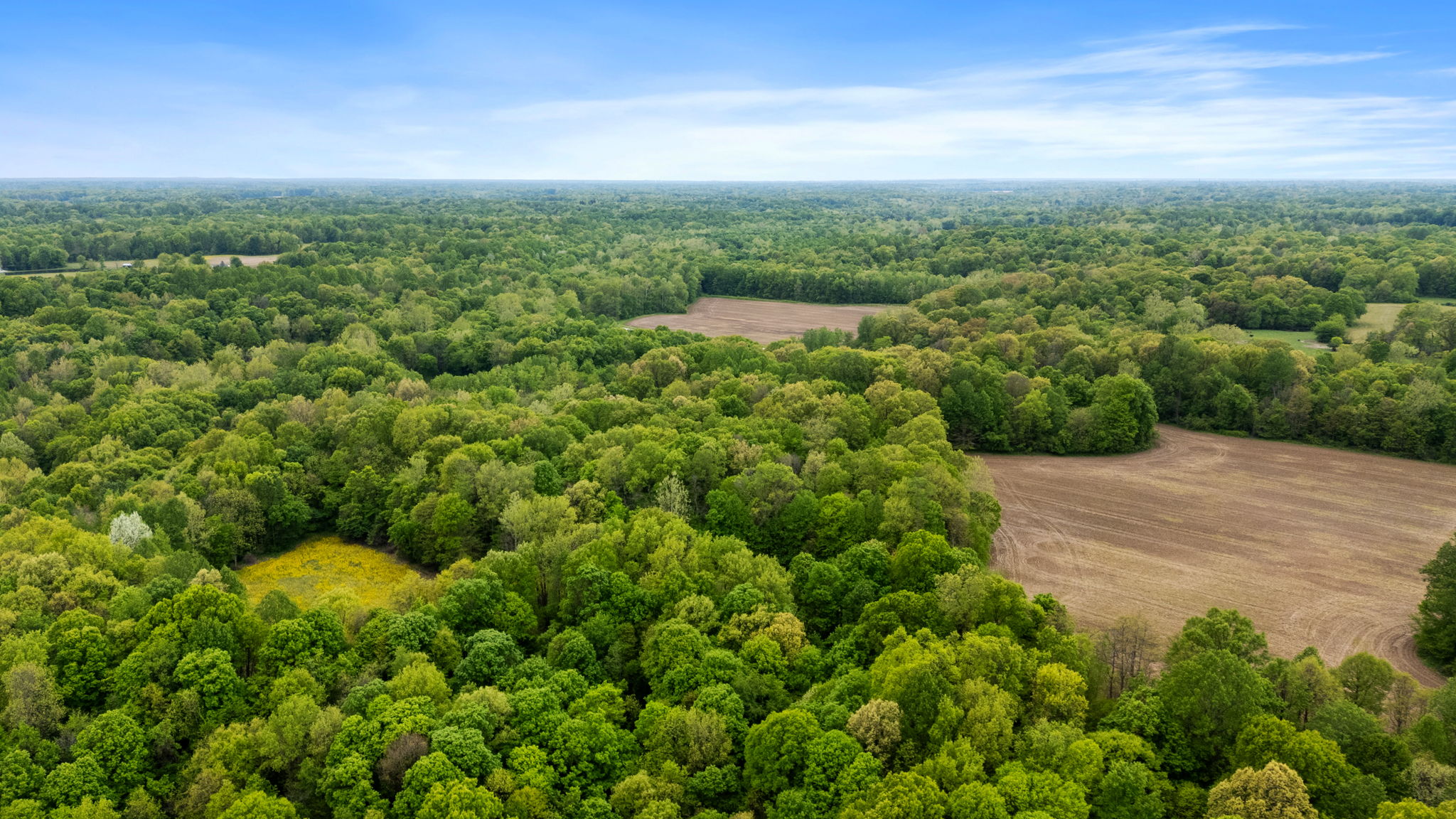 Rosedale, Indiana, 47874, United States, ,Land,For Sale,2049036