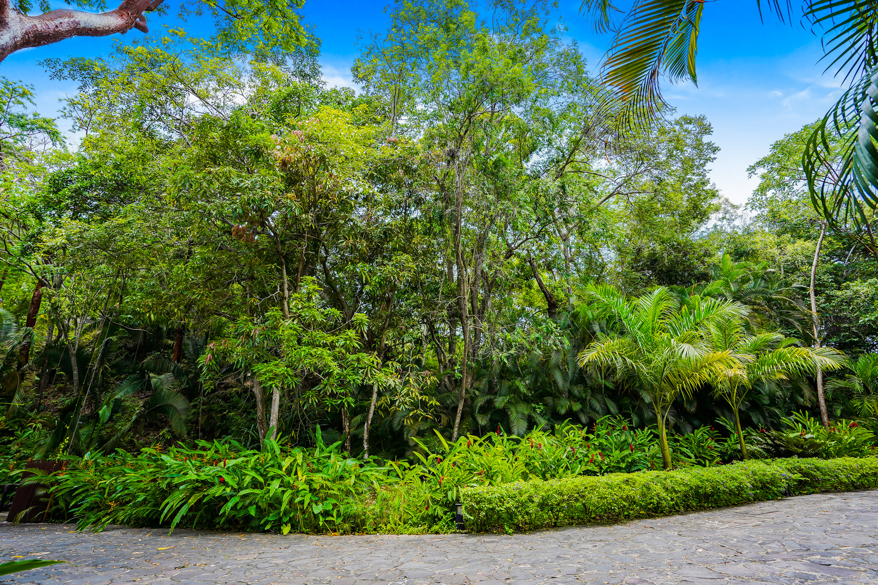  El Paredón Lot 9  Oceanfront haven, Puerto Vallarta