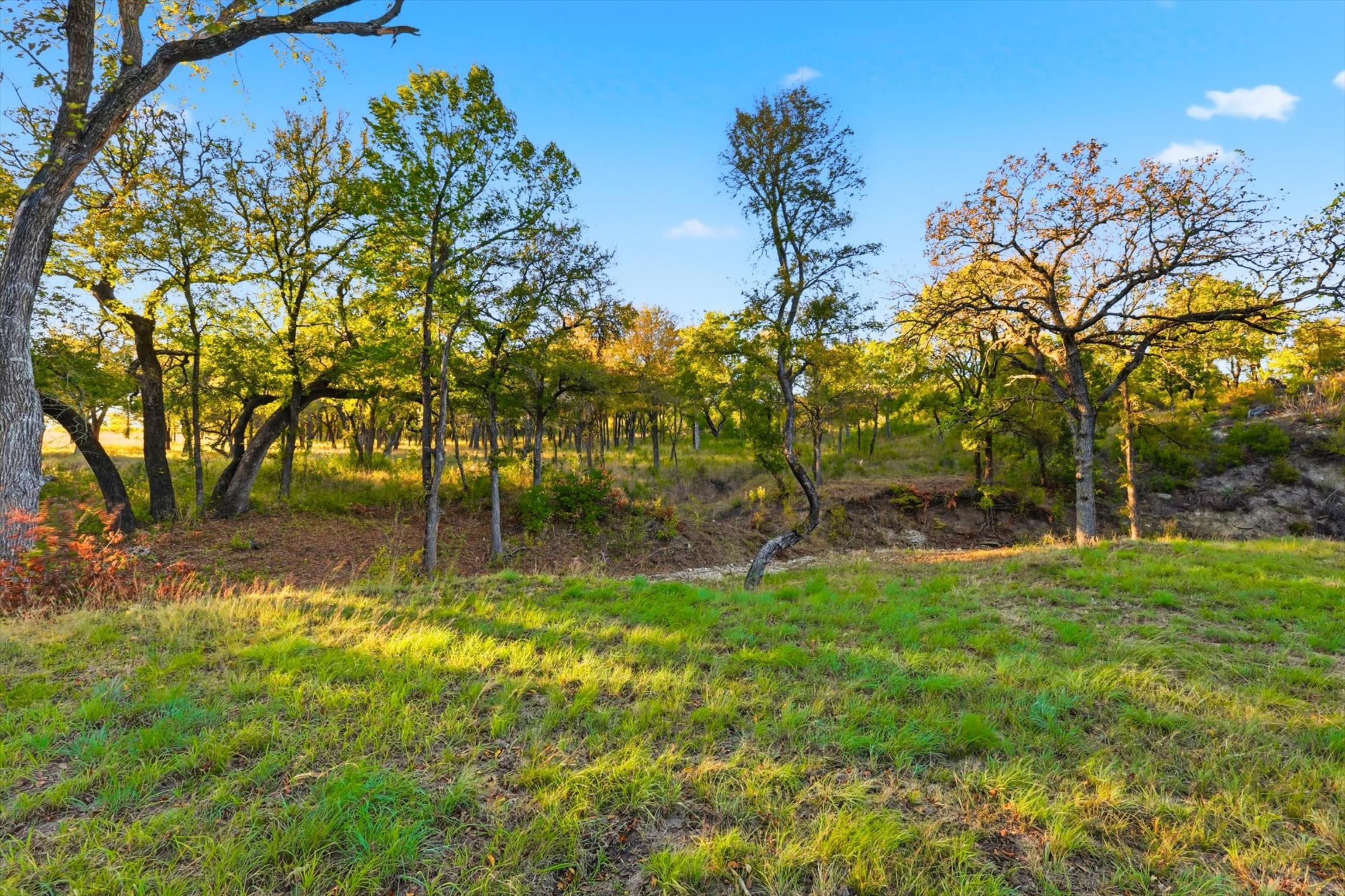  20 Acre Ranchette near luxury golf community in prestigious Aledo ISD - 物件實景
