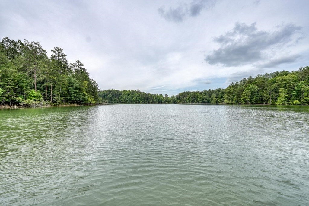 Blairsville, Georgia, 30512, United States, 5 Bedrooms Bedrooms, ,6 BathroomsBathrooms,Residential,For Sale,1901332