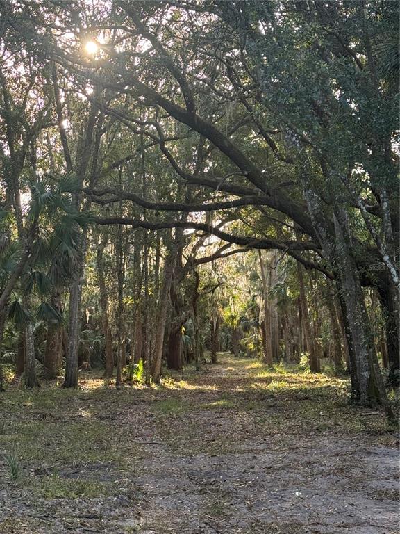 Palm Coast, Florida, 32137, United States, ,Land,For Sale,2000398